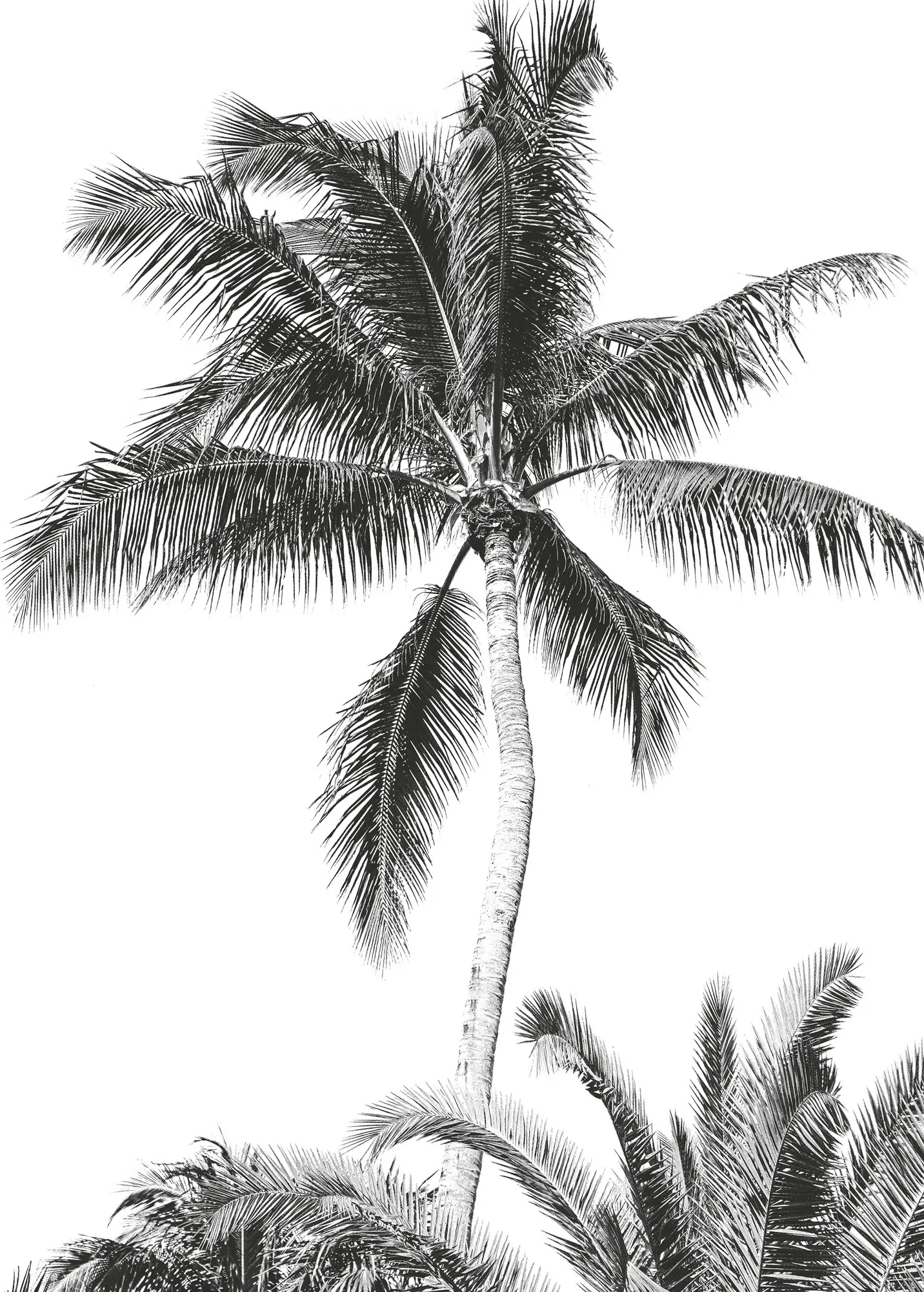Komar Vlies Fototapete Retro Palm 200 x 280 cm 
