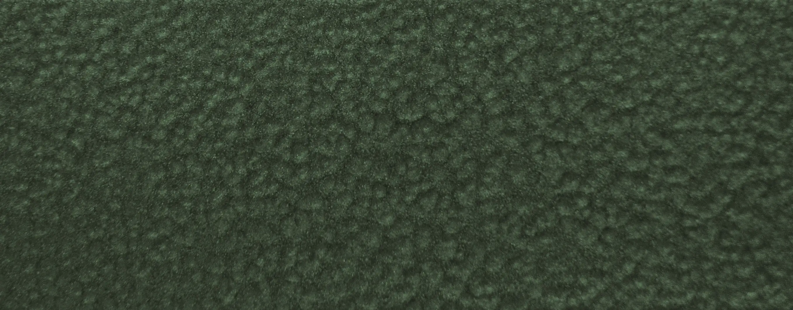 Alpina Sprühmetallschutz-Lack Hammerschlag 400 ml grün Alpina Sprühmetallschutz-Lack Hammerschlag 400 ml grün