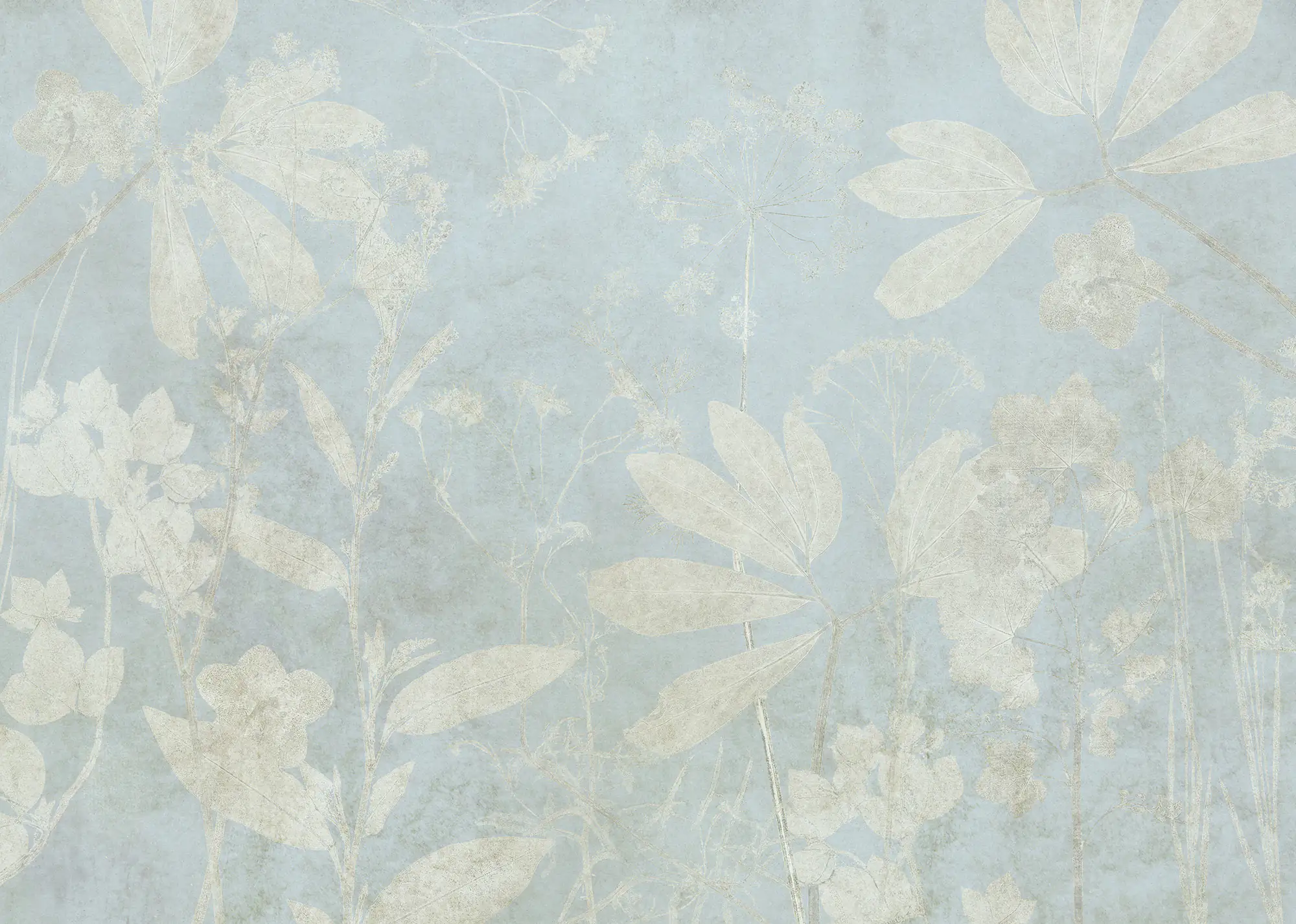 Komar Vlies Fototapete Jardin sur Papier 350 x 250 cm 