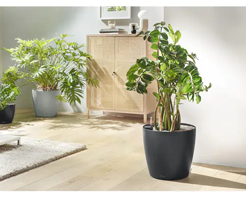 Lechuza Pflanztopf Classico Eco 35 cm Kunststoff hellgrau