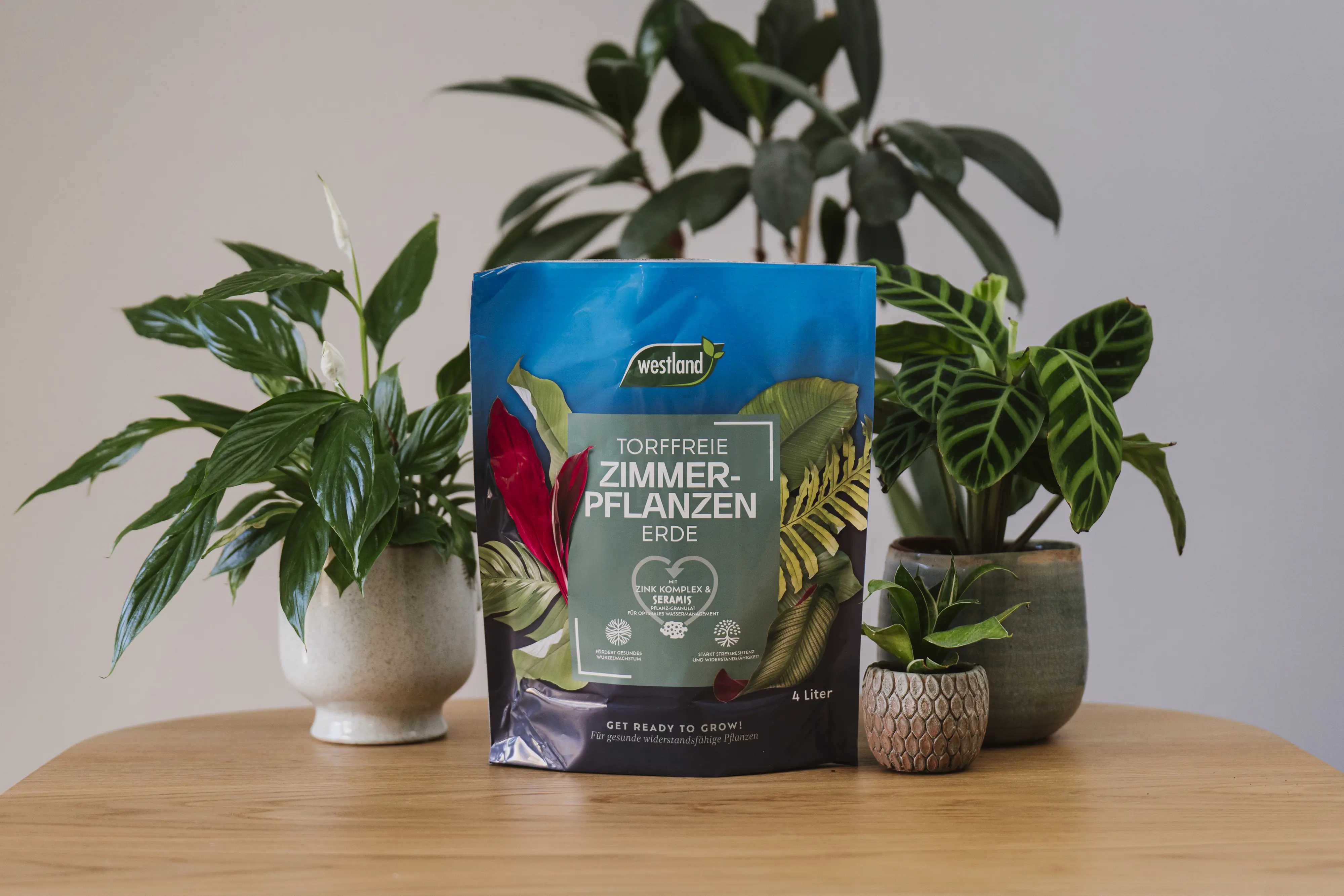 Westland Zimmerpflanzen Erde torffrei 4 L