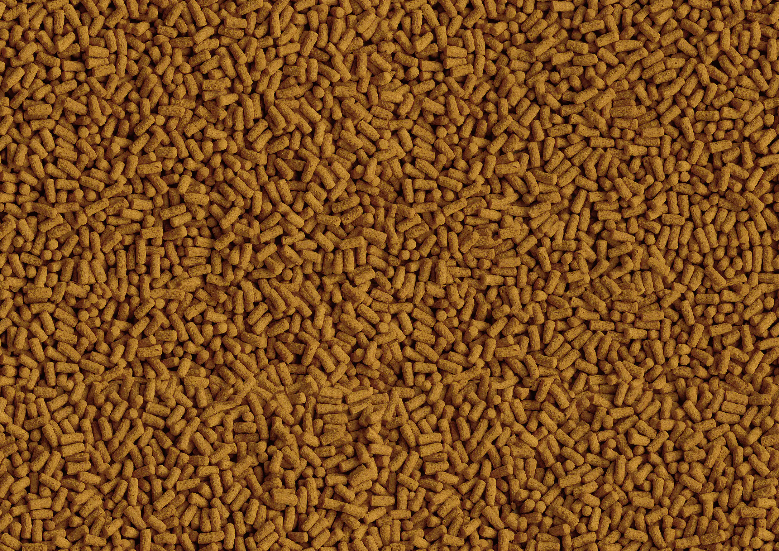 Tetra Pond Koi Sticks Colour & Growth 1 L