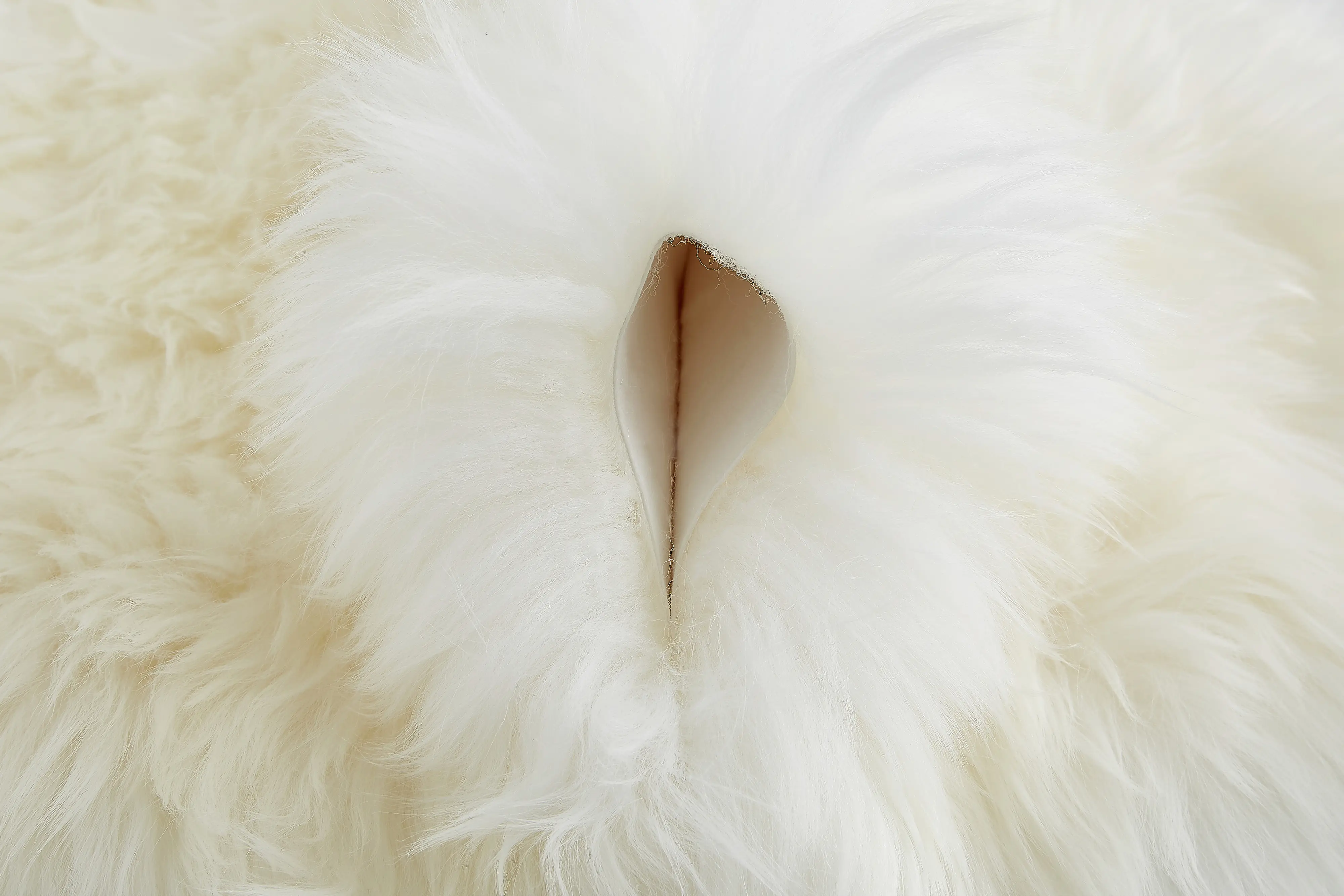 Schaffell natur weiß, ca. 60 x 85 cm