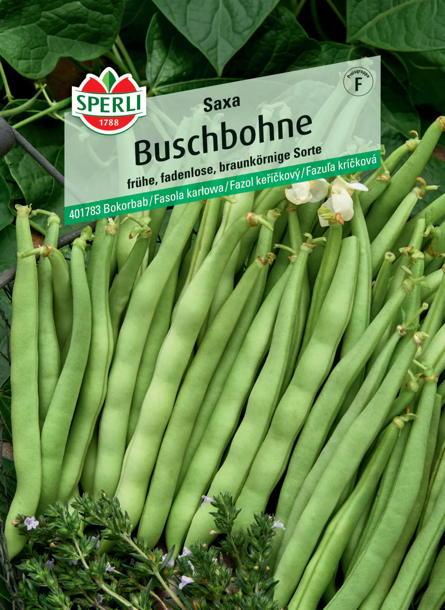 Sperli Buschbohne Saxa