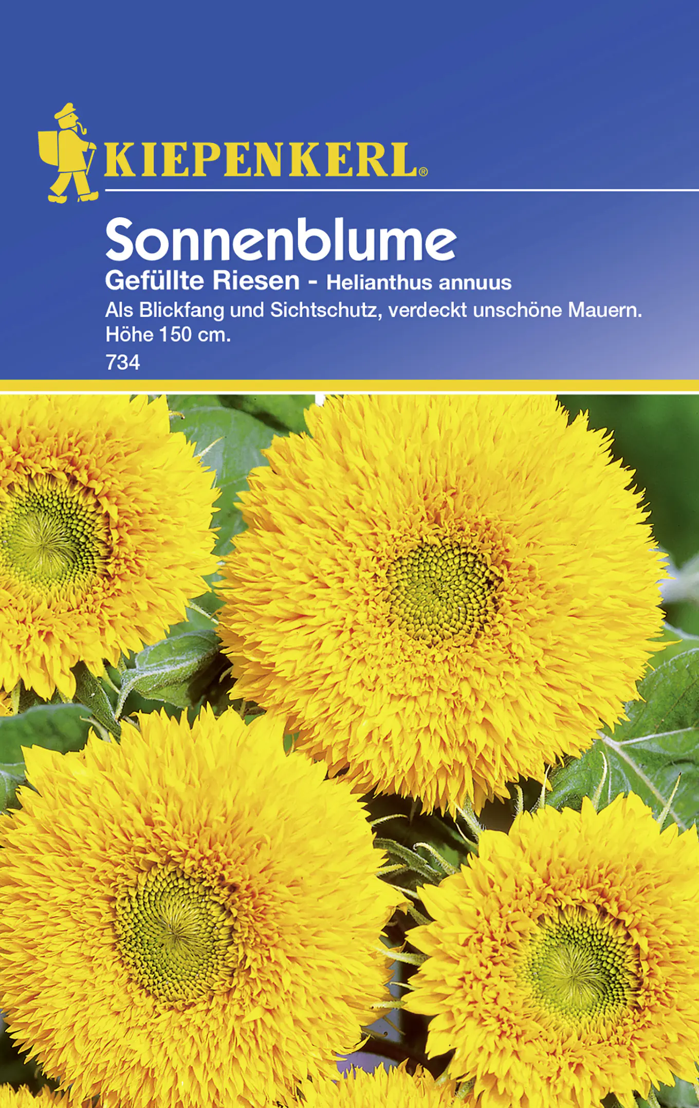 Kiepenkerl Sonnenblume Gefüllte Riesen Helianthus annuus, Inhalt: ca. 25 Pflanzen