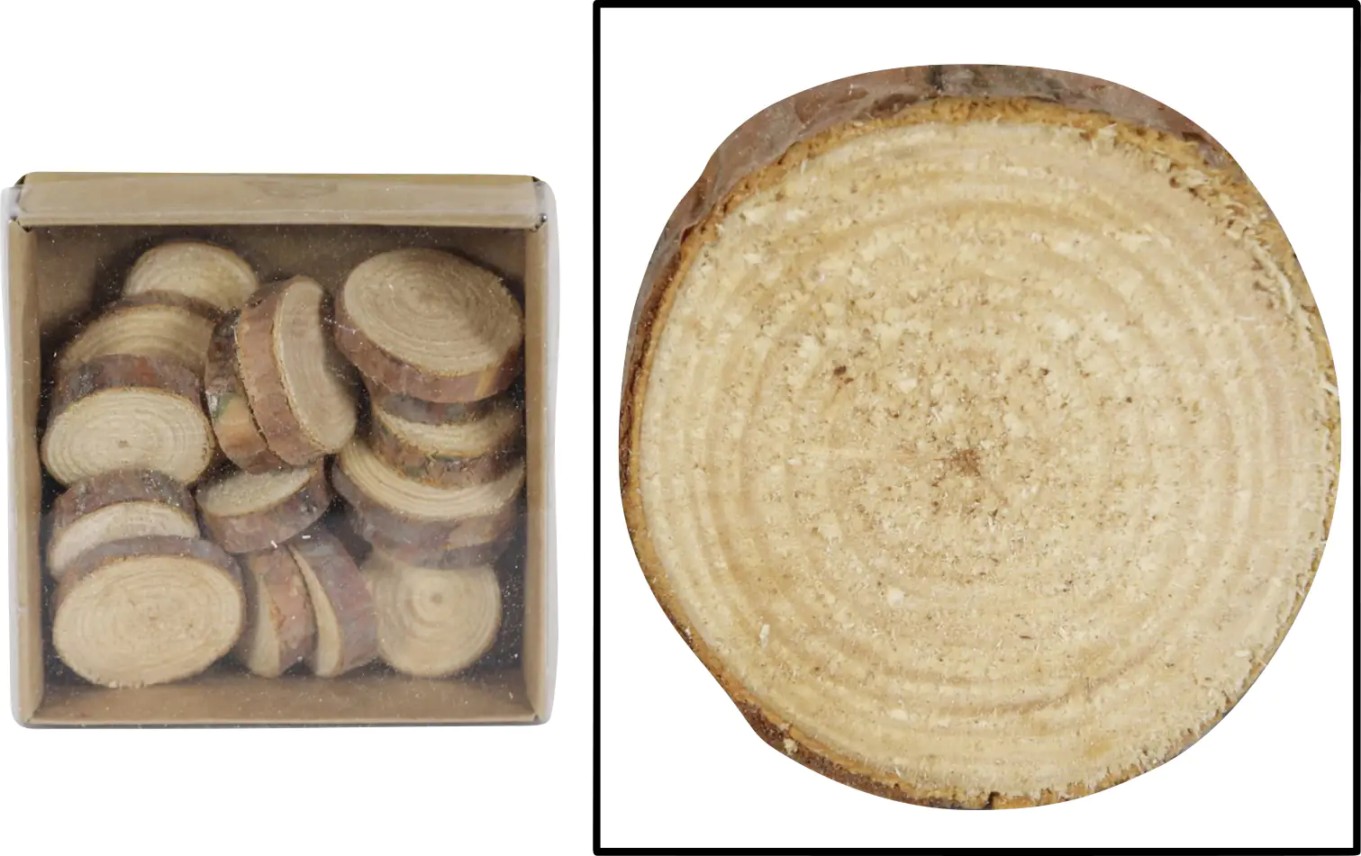 Dijk Holzscheiben Ø 2 cm 20 Stück
