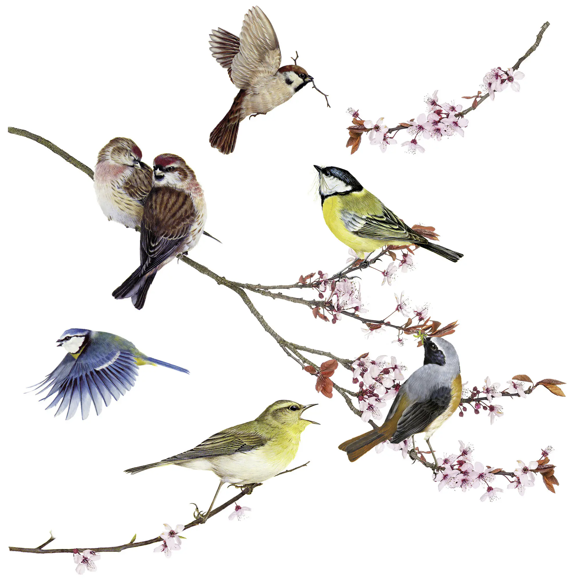Komar Windowsticker Birds 31 x 31 cm