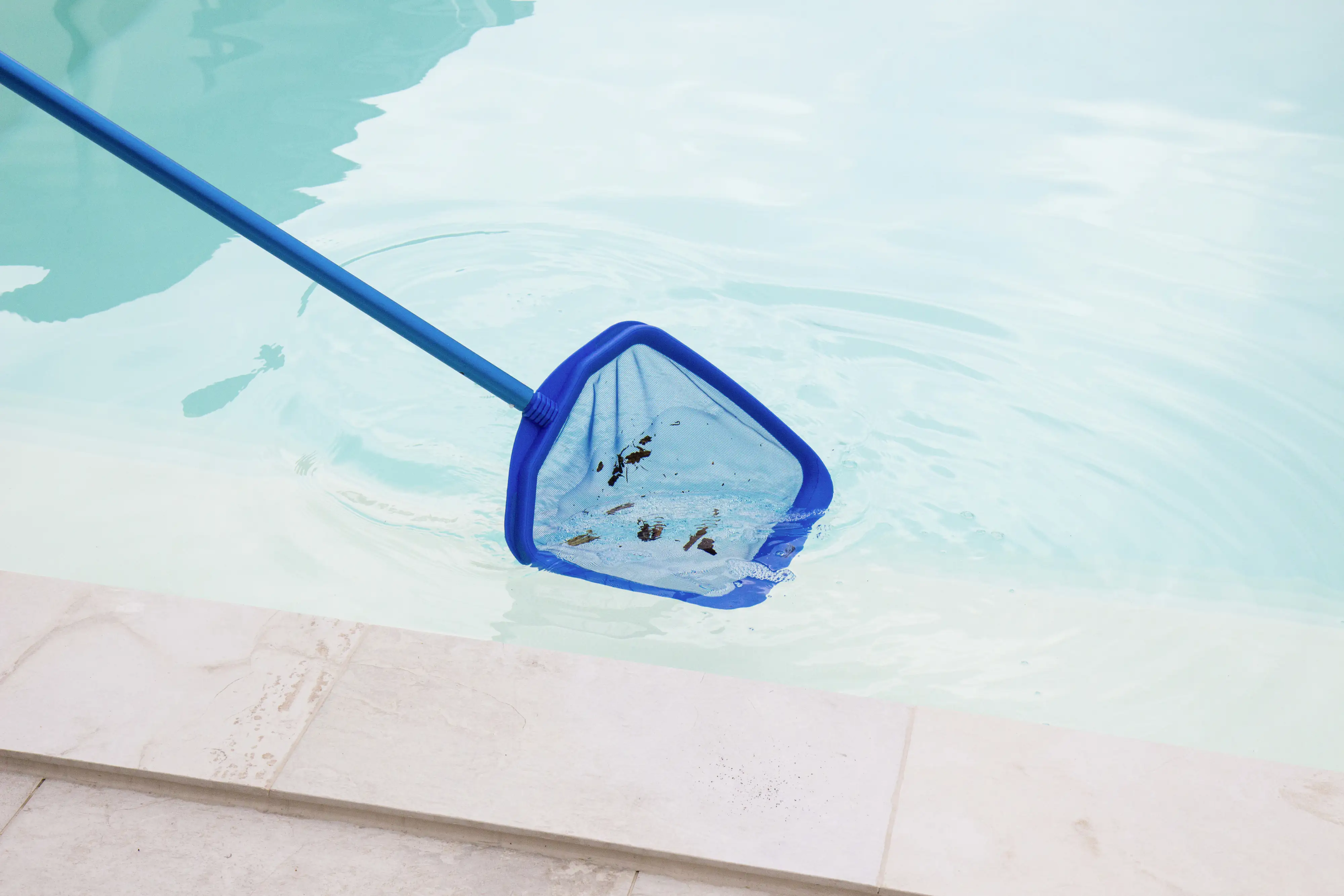 Steinbach Laubkescher blau