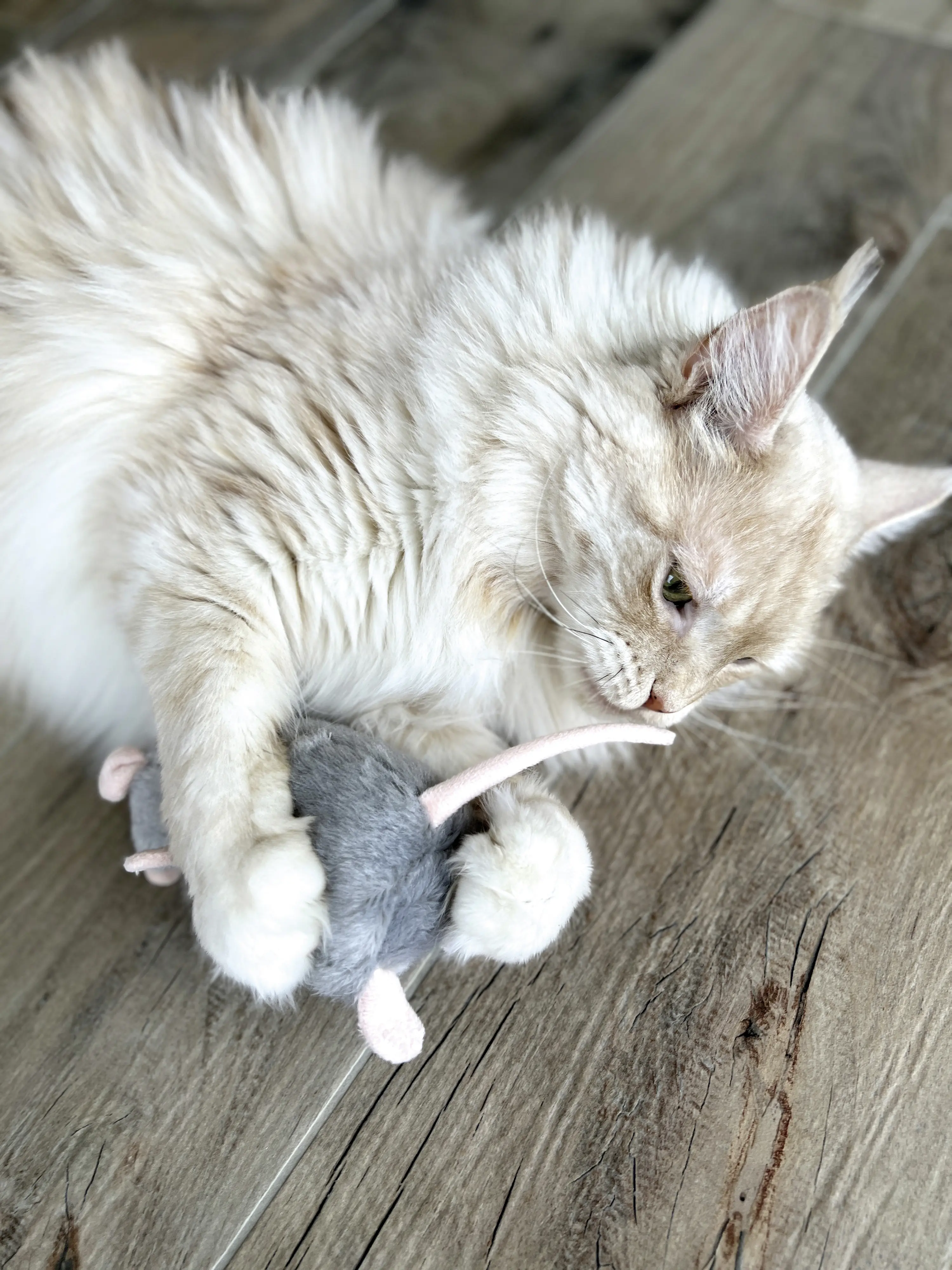 Aumüller Katzenkissen Ratte Cedric grau mit Füllung 13 x 6 x 5 cm