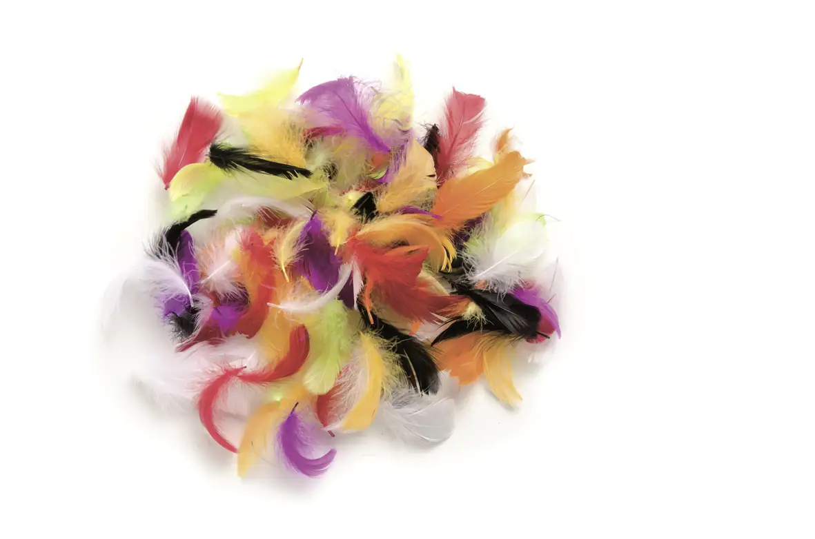 Glorex Deco-Federn multicolor ca. 30 Stück Glorex Deco-Federn multicolor ca. 30 Stück