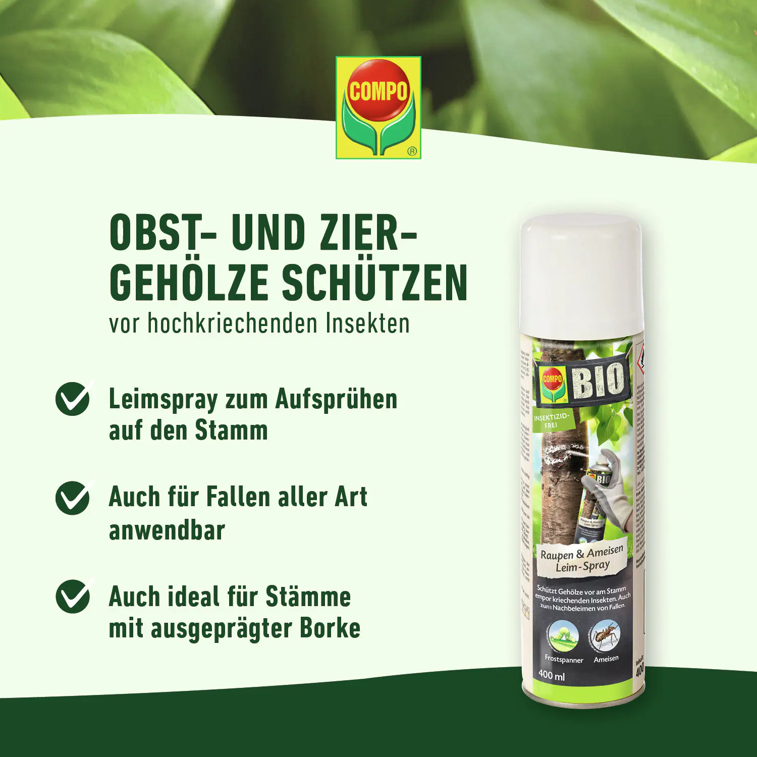 Compo Bio Leimspray gegen Raupen & Ameisen 400 ml