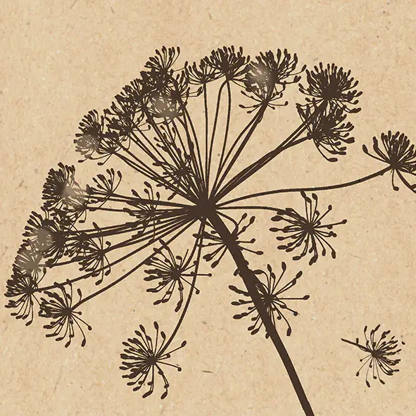 Braun & Company Servietten natur schwarz 33 x 33 cm - 20er Pack