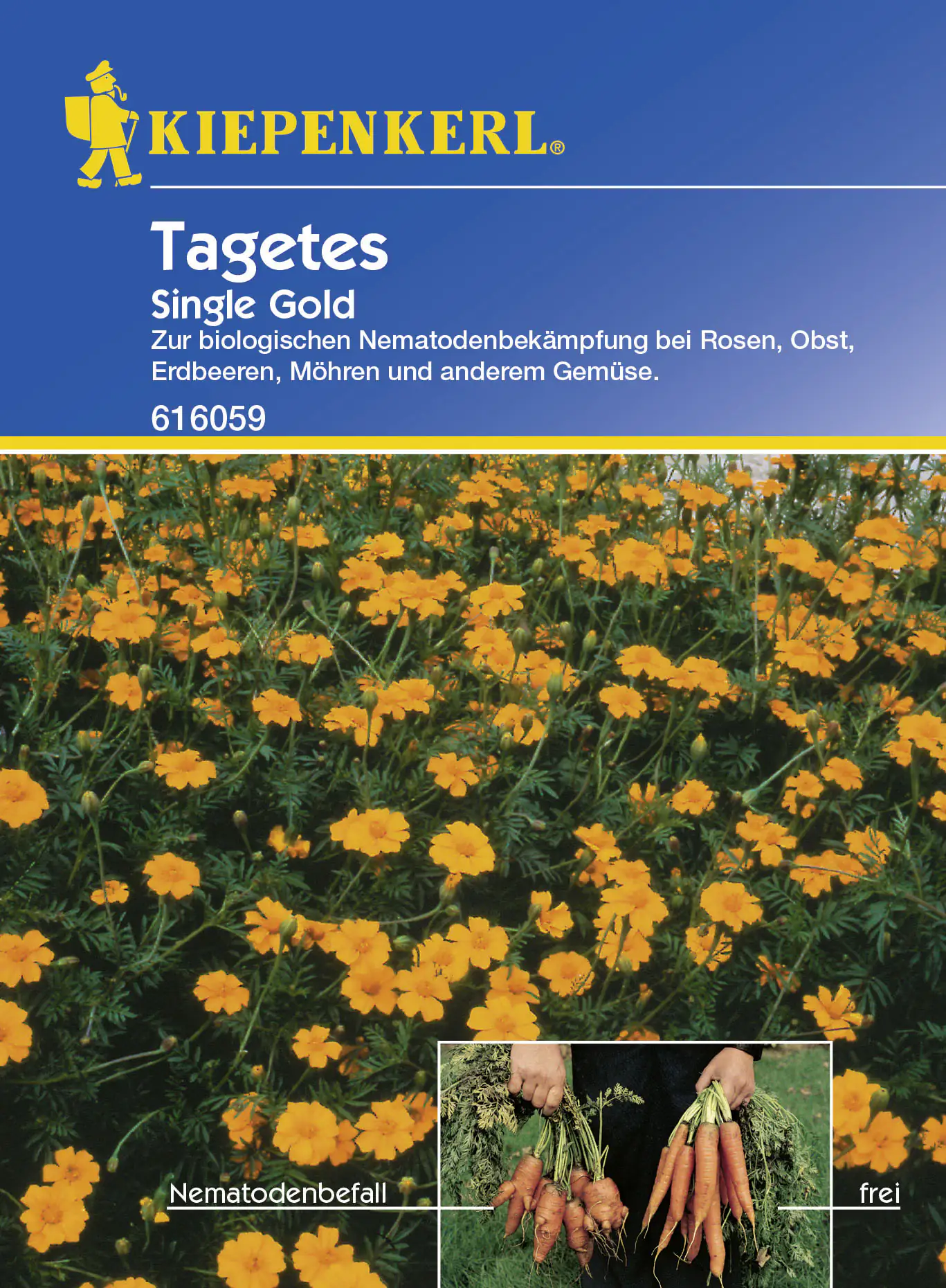 Kiepenkerl Tagetes Tagetes x patula, Inhalt: ca. 5 - 7 m²