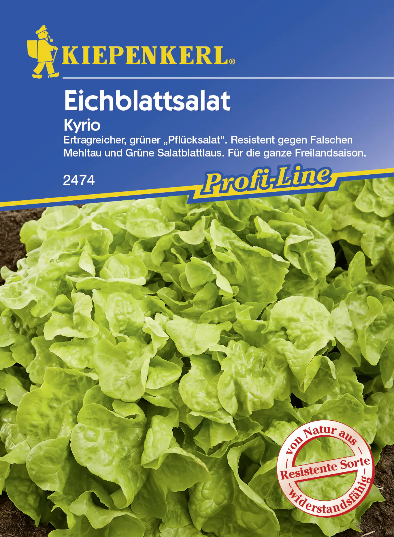 4000159174740 Kiepenkerl Eichblattsalat Kyrio ca. 150 Pflanzen