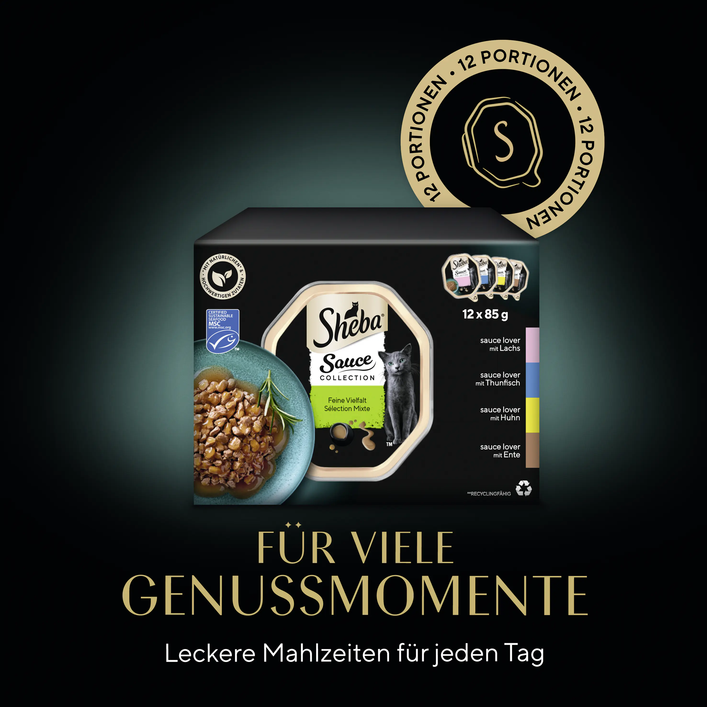 Sheba Sauce Collection Katzennassfutter Adult MSC 12 x 85 g Fisch & Fleisch Variationen Sheba Sauce Collection Katzennassfutter Adult MSC 12 x 85 g Fisch & Fleisch Variationen