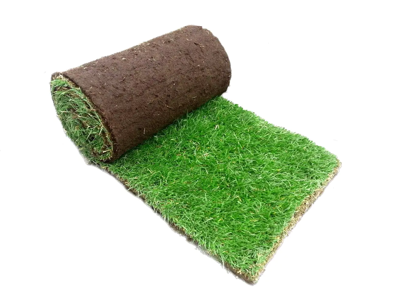 Premoplan Rollrasen Premium ab 30m² Premoplan Rollrasen Premium ab 30m²