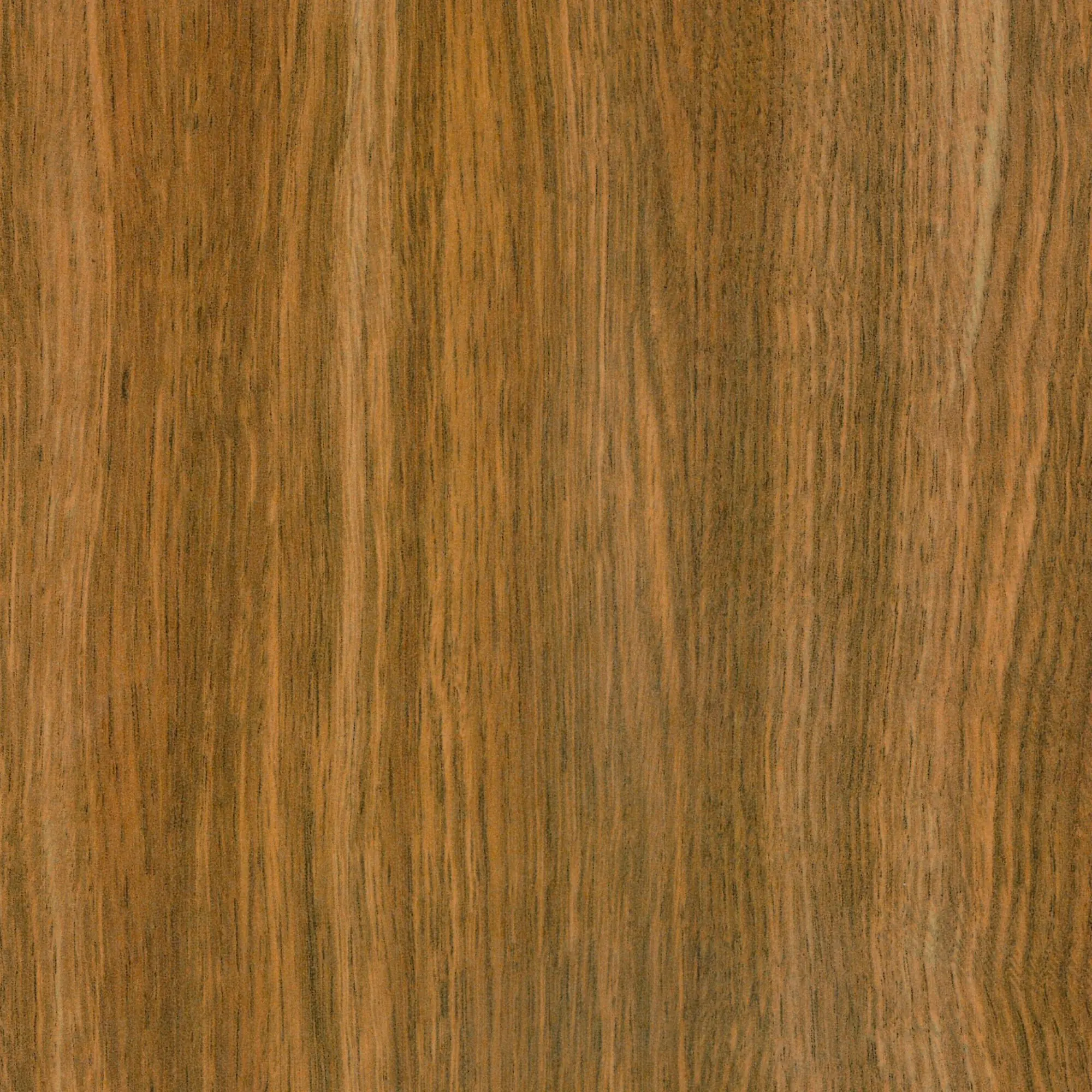 Neuhofer Fußleiste 240 cm x 58 x 19 mm teak