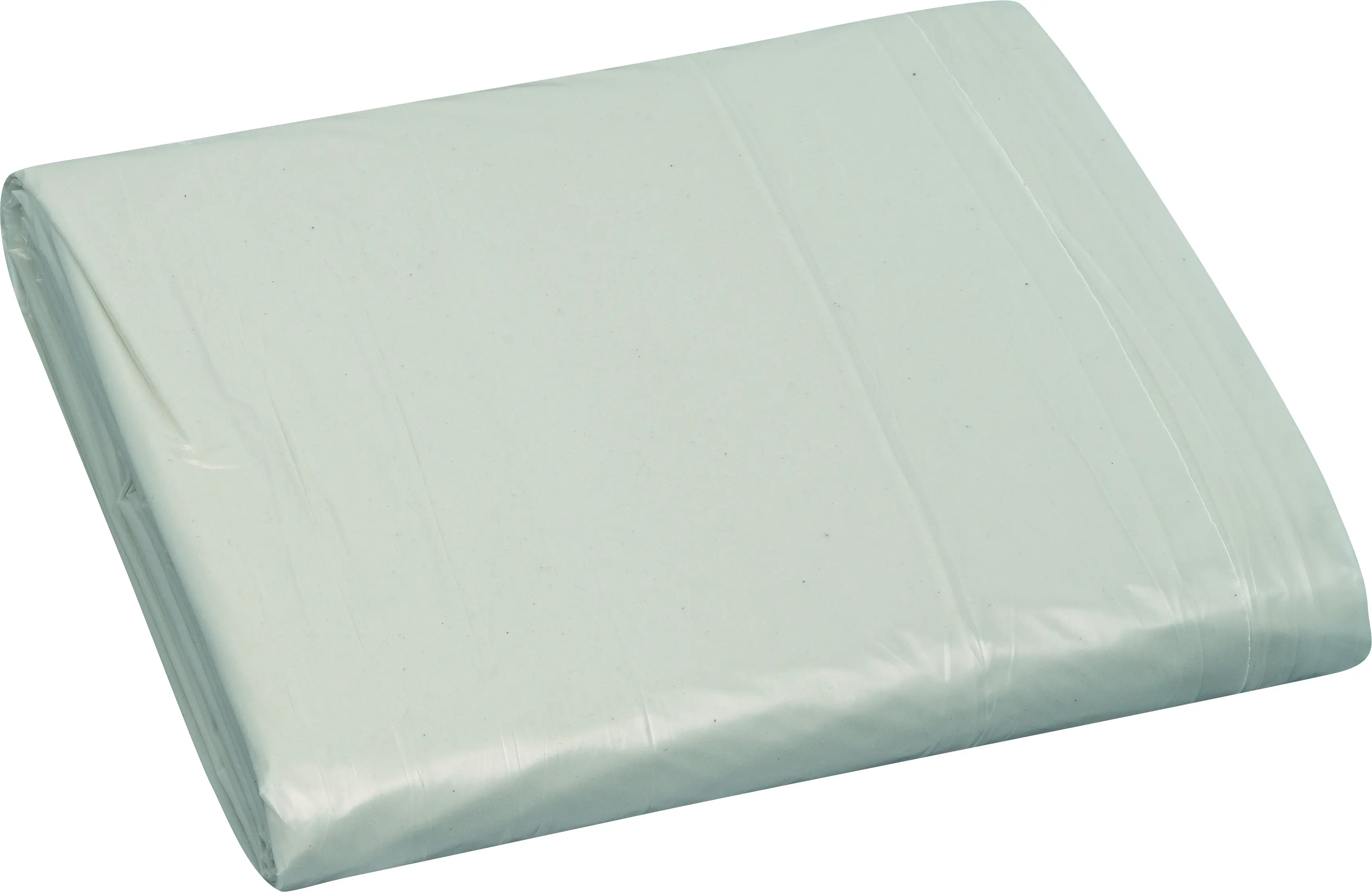 Color Expert Bauplane LDPE 46 my 4 x 5 m = 20 m² transparent