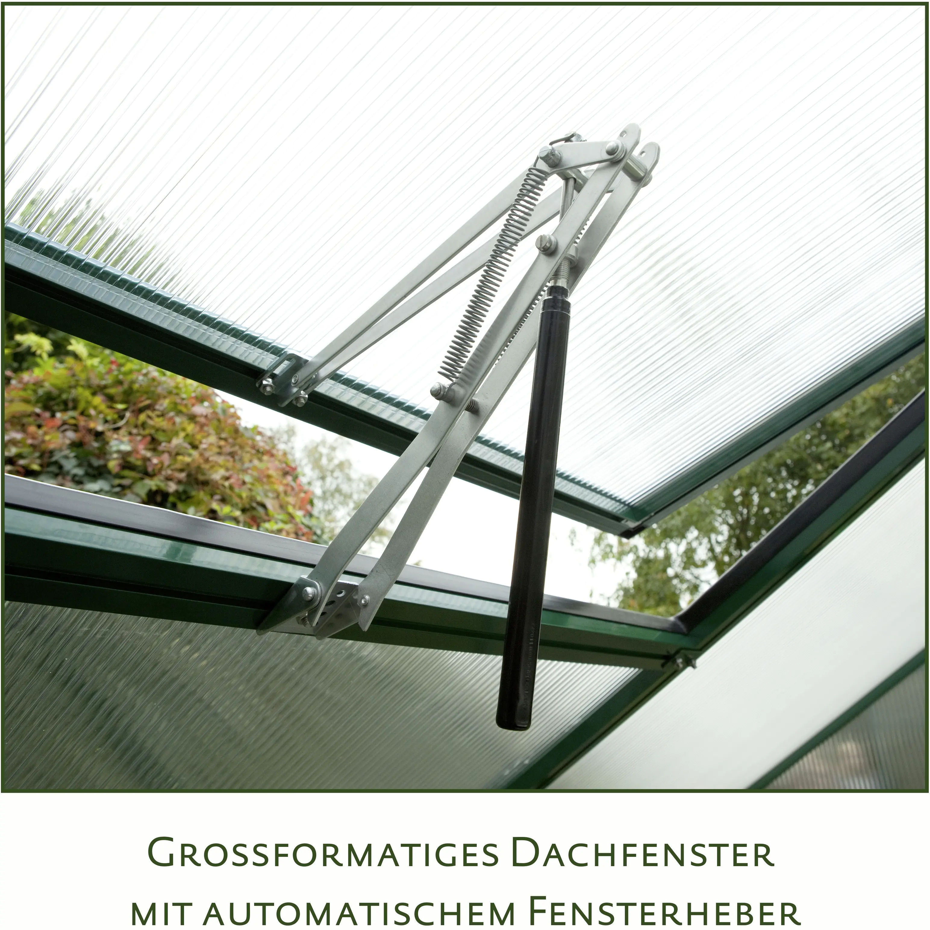 KGT Gewächshaus Orchidee IV 4,29 x 2,97 x 2,15 m, moosgrün