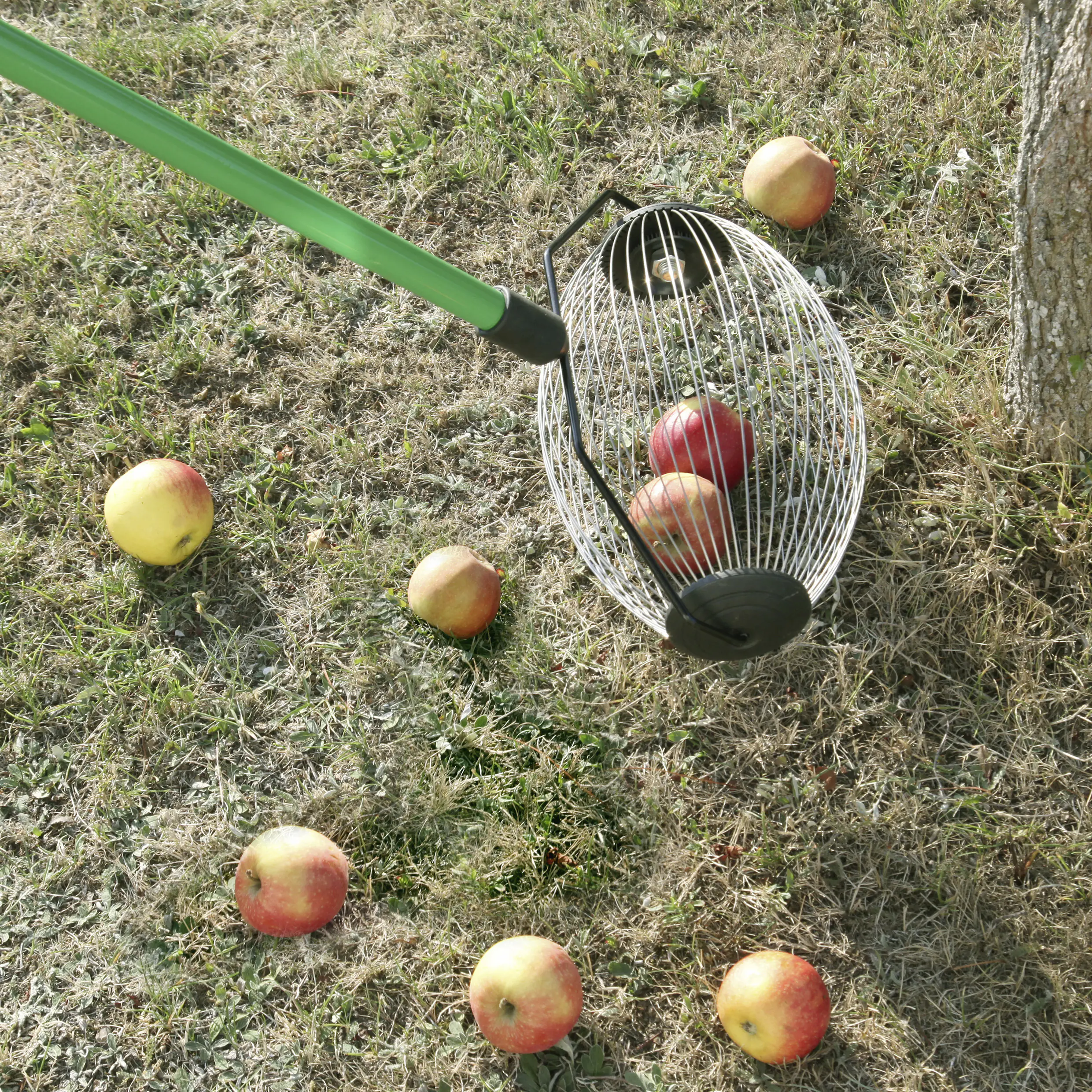 Obstpflücker Classic 100 x 30 cm inkl. Stiel Obstpflücker Classic 100 x 30 cm inkl. Stiel