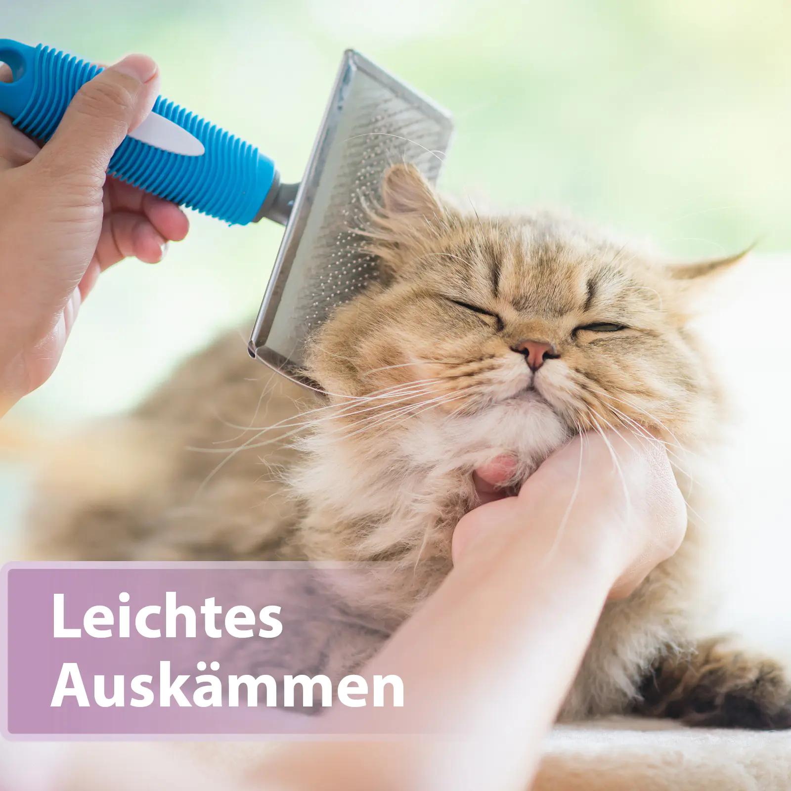 Felisept Fellpflegespray für Katzen 250 ml Felisept Fellpflegespray für Katzen 250 ml