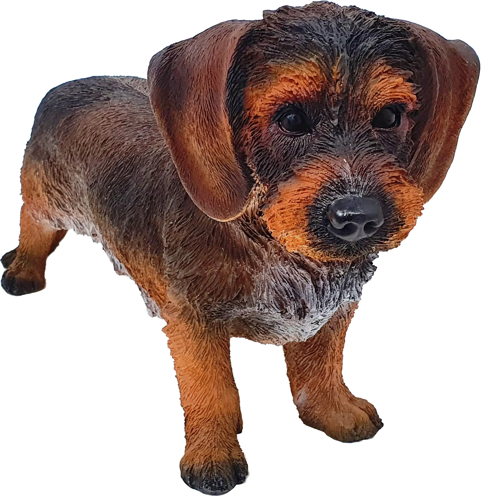 Dekofigur Rauhaardackel 27 x 18 x 50 cm