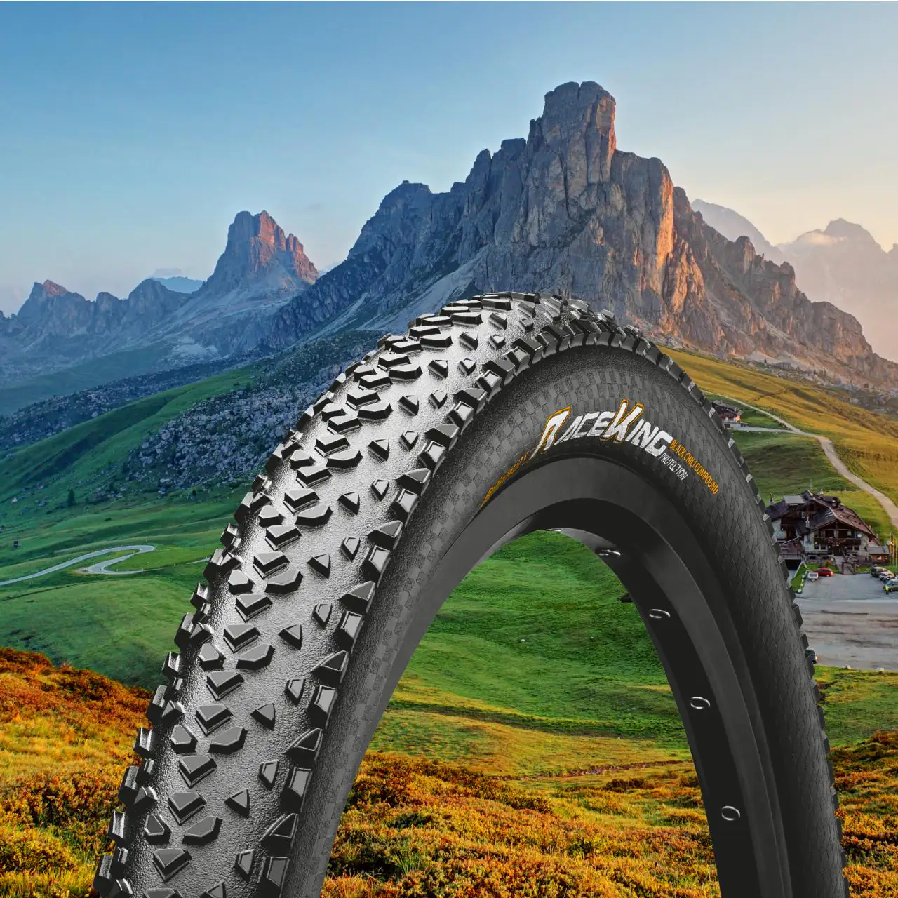 Continental Fahrradreifen (29 Zoll) 73,66 cm Race King MTB 55-622 mm (ETRTO)