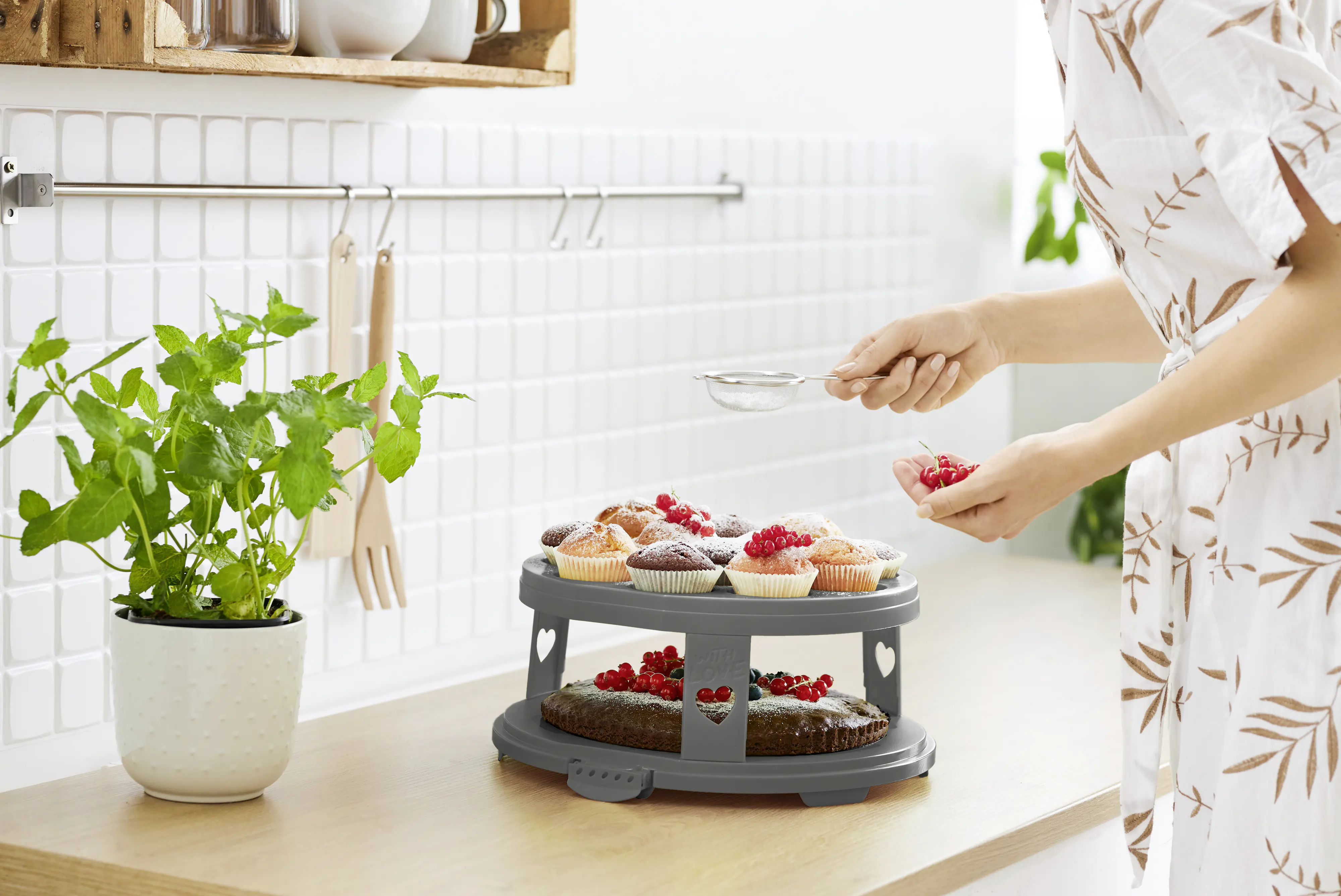 Rotho Tortenglocke mit Trays Fresh Ø 26 x 36 cm holzkohle schwarz