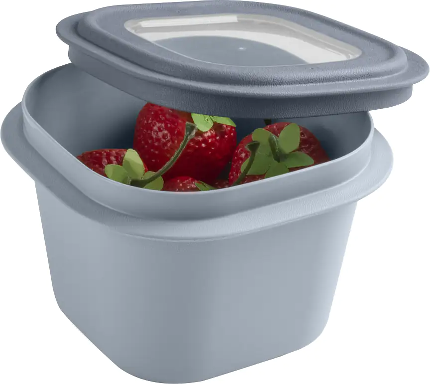 Sunware Frischhaltedose Sigma Home 0,8 L blaugrau