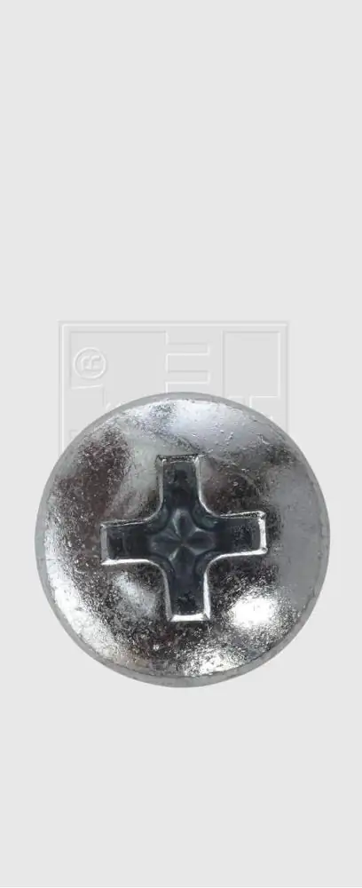 SWG Nummernschildschraube 5.6 x 19 mm mit Abdeckkappe