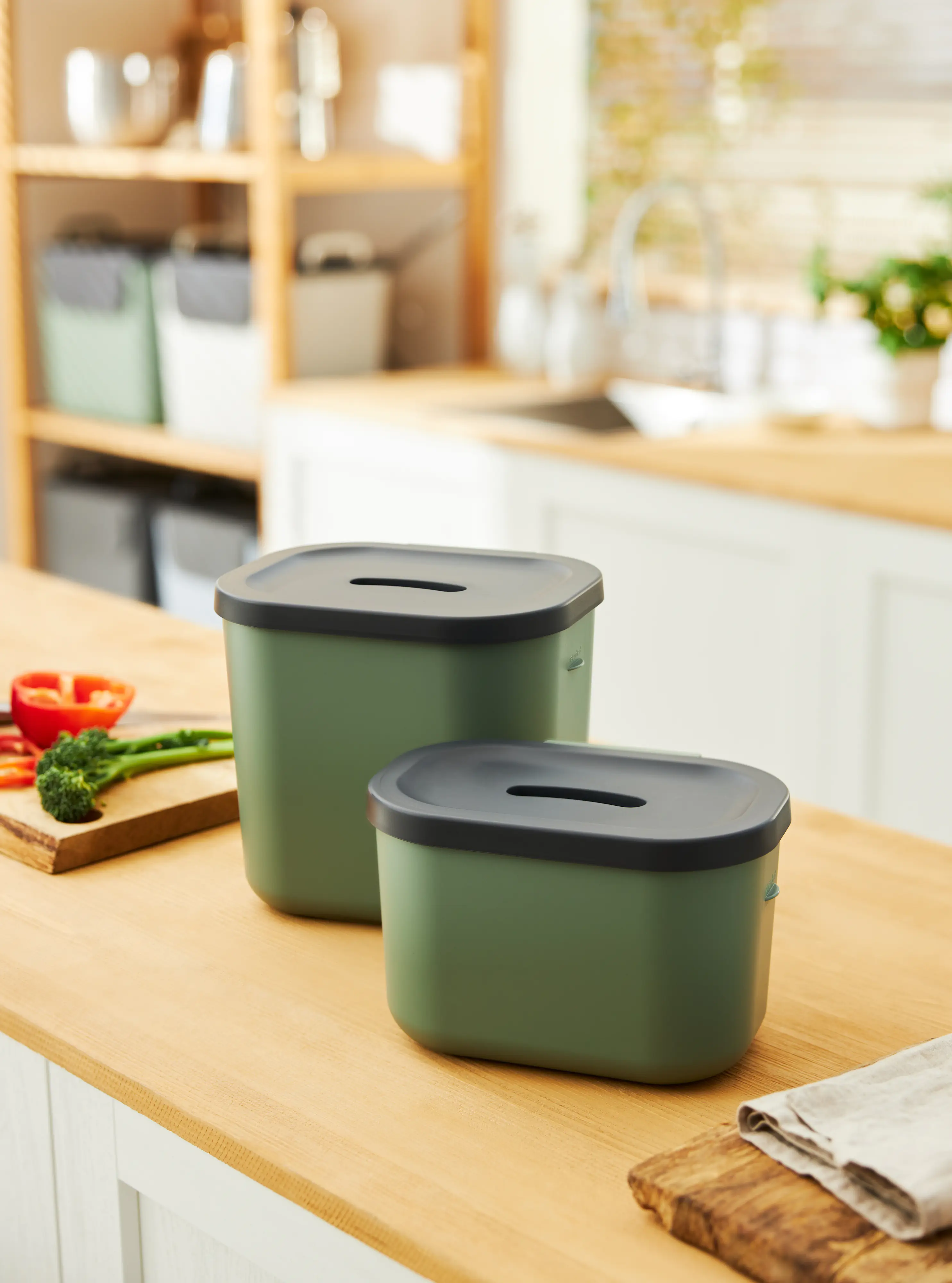 Rotho Komposteimer Jive Bio 3,2 L grünschwarz