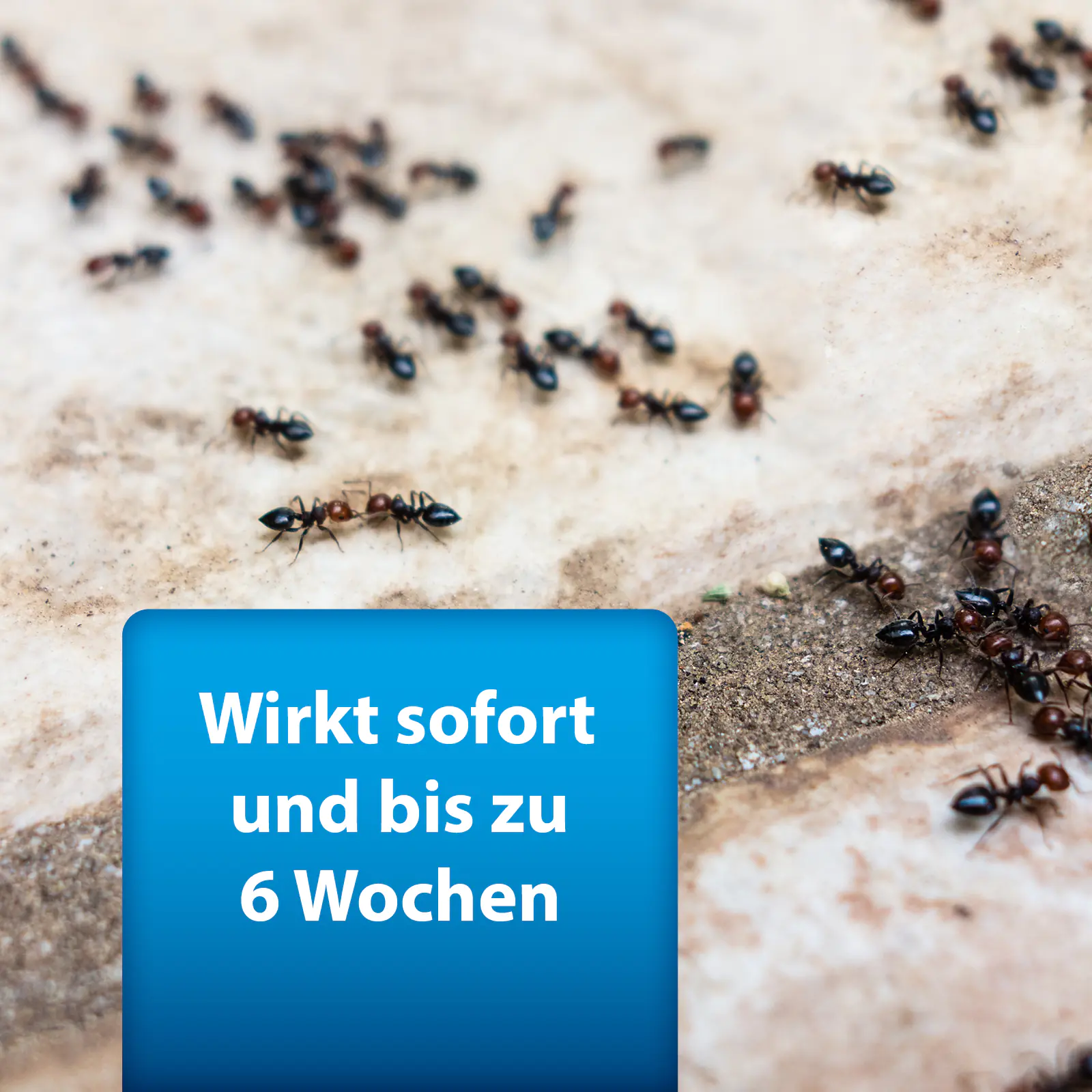 ARDAP Pro Ungezieferspray 750 ml ARDAP Pro Ungezieferspray 750 ml