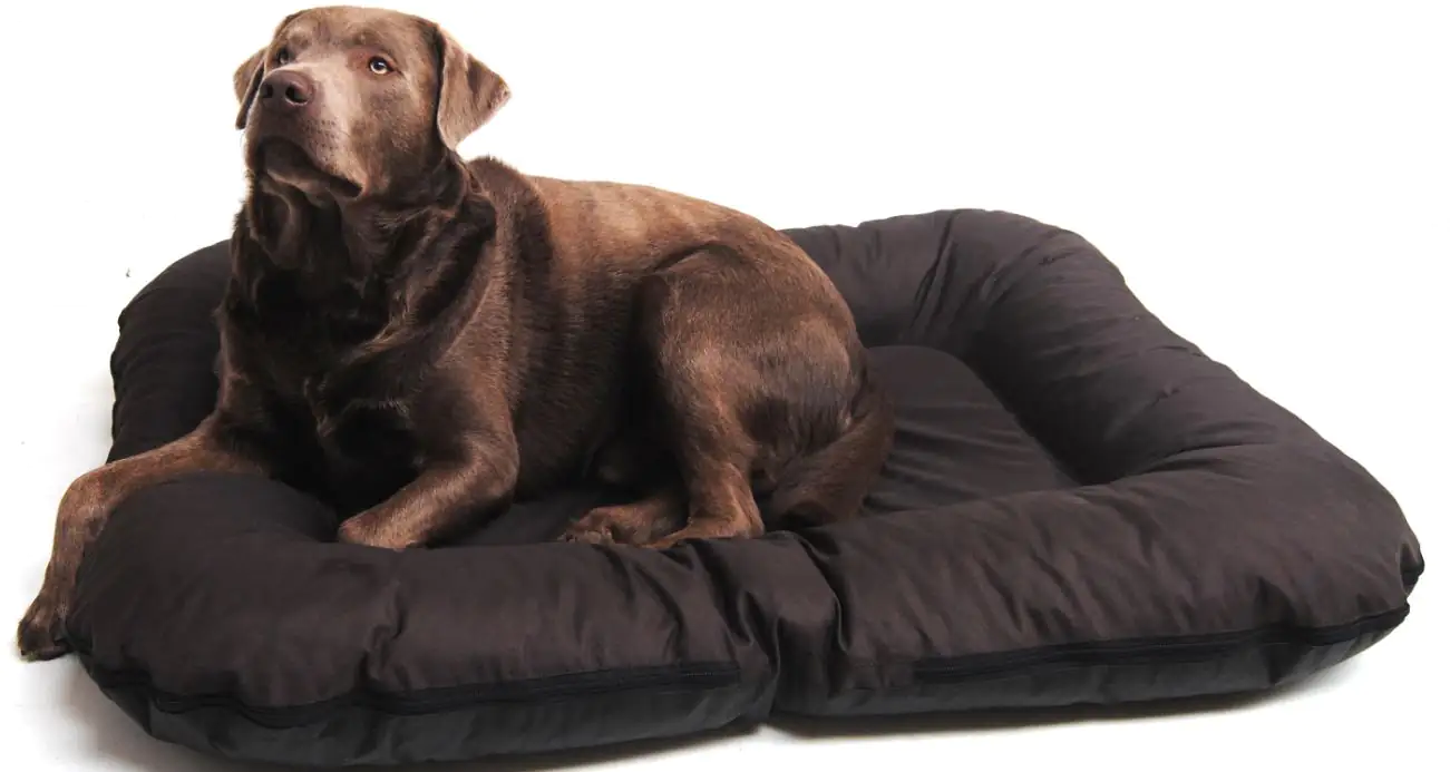 Lebon Hundekissen Ponto braun