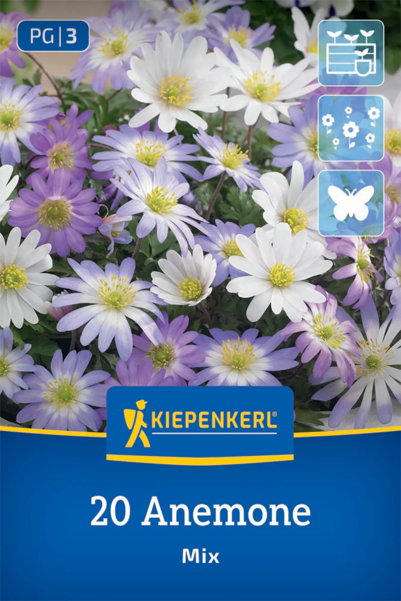 Kiepenkerl Herbstblumenzwiebel Anemonen Anemone blanda Mischung 20 Stück