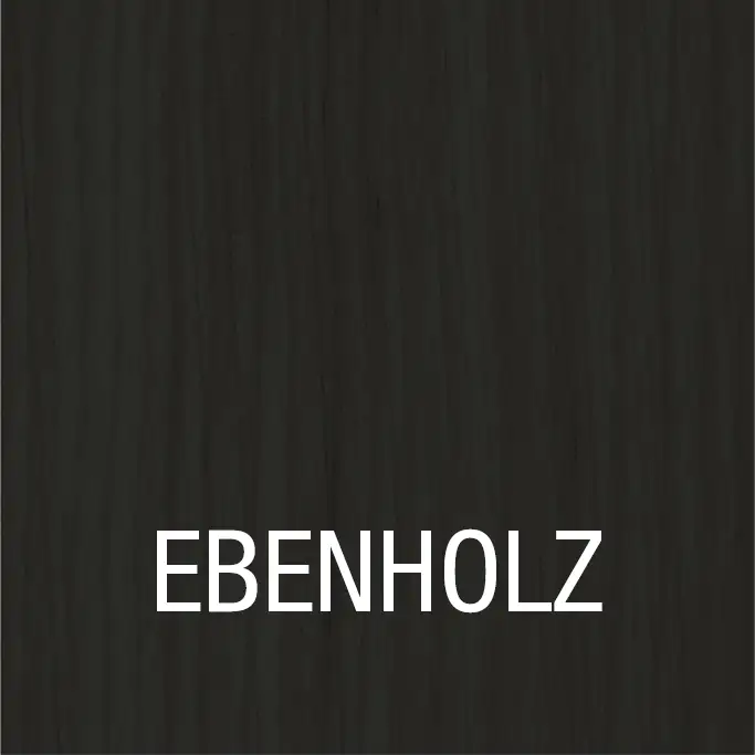 5702167197566_1 Bondex Dauerschutz Lasur 2,5 L ebenholz