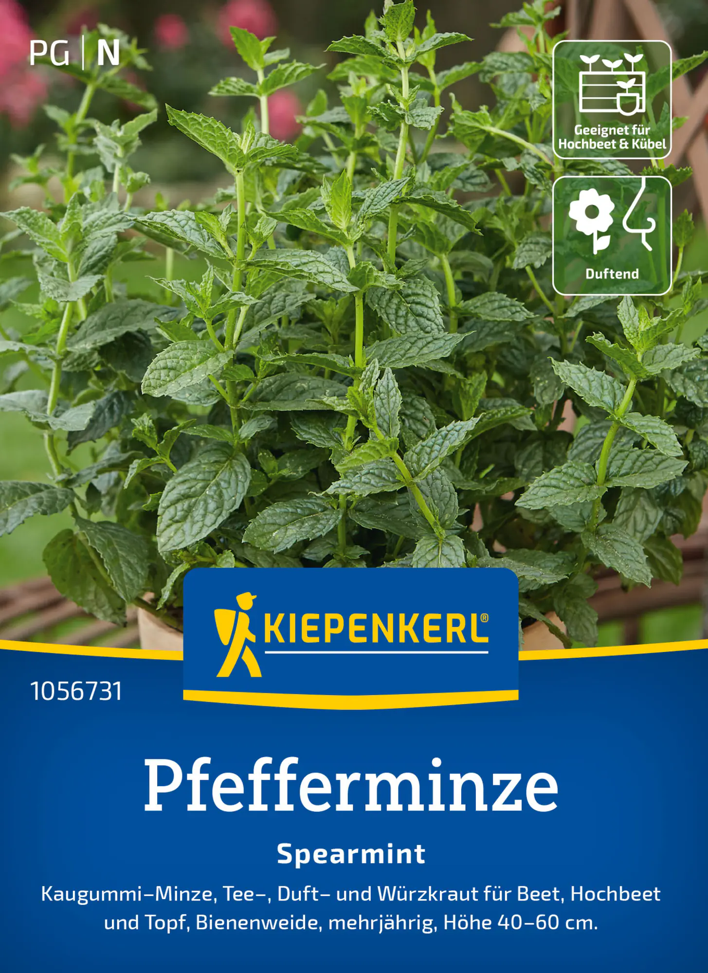 Kiepenkerl Kräutersamen Pfefferminz Spearmint für ca. 200 Pflanzen