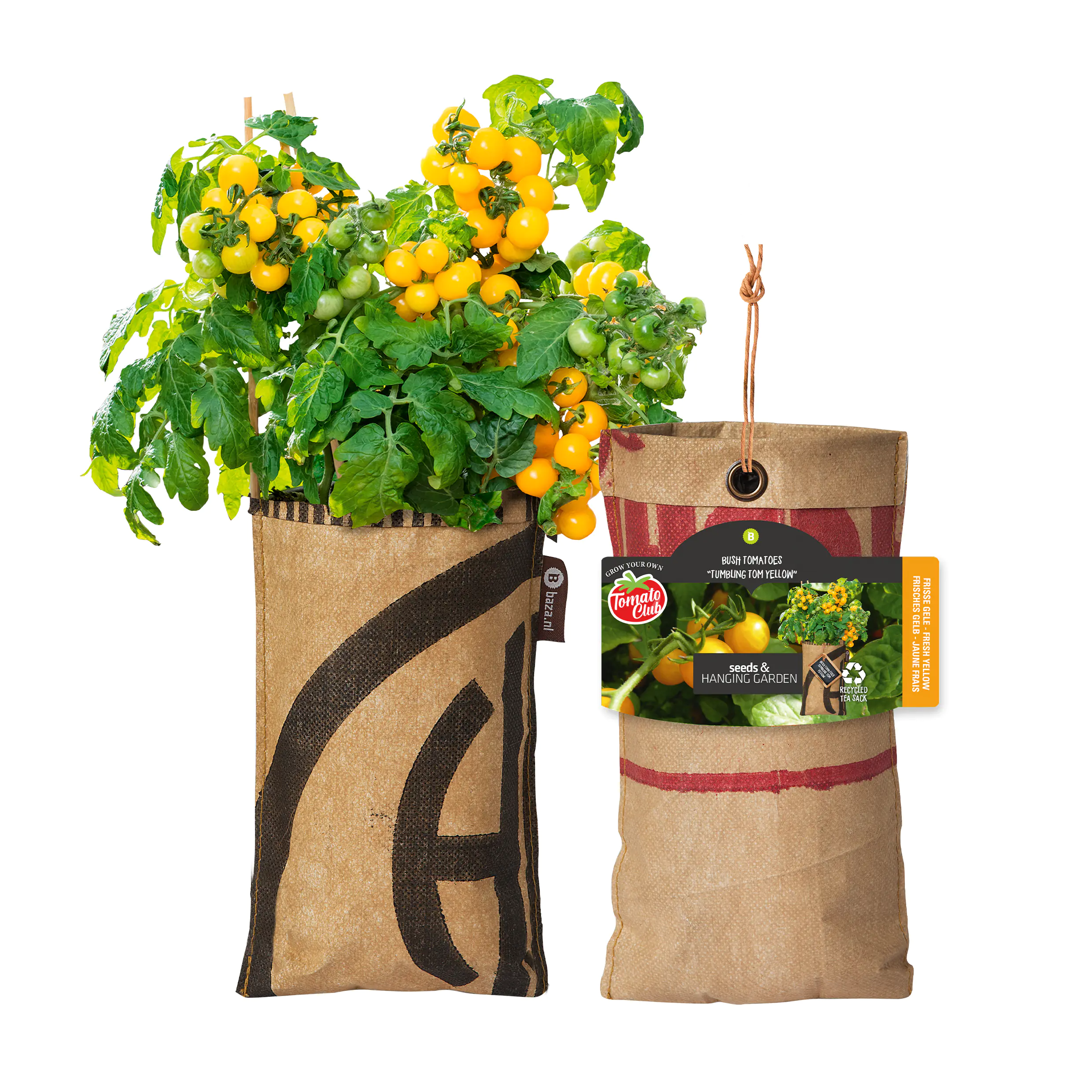 Baza Seeds hängender Garten Strauchtomate Tumbling Tom Yellow 