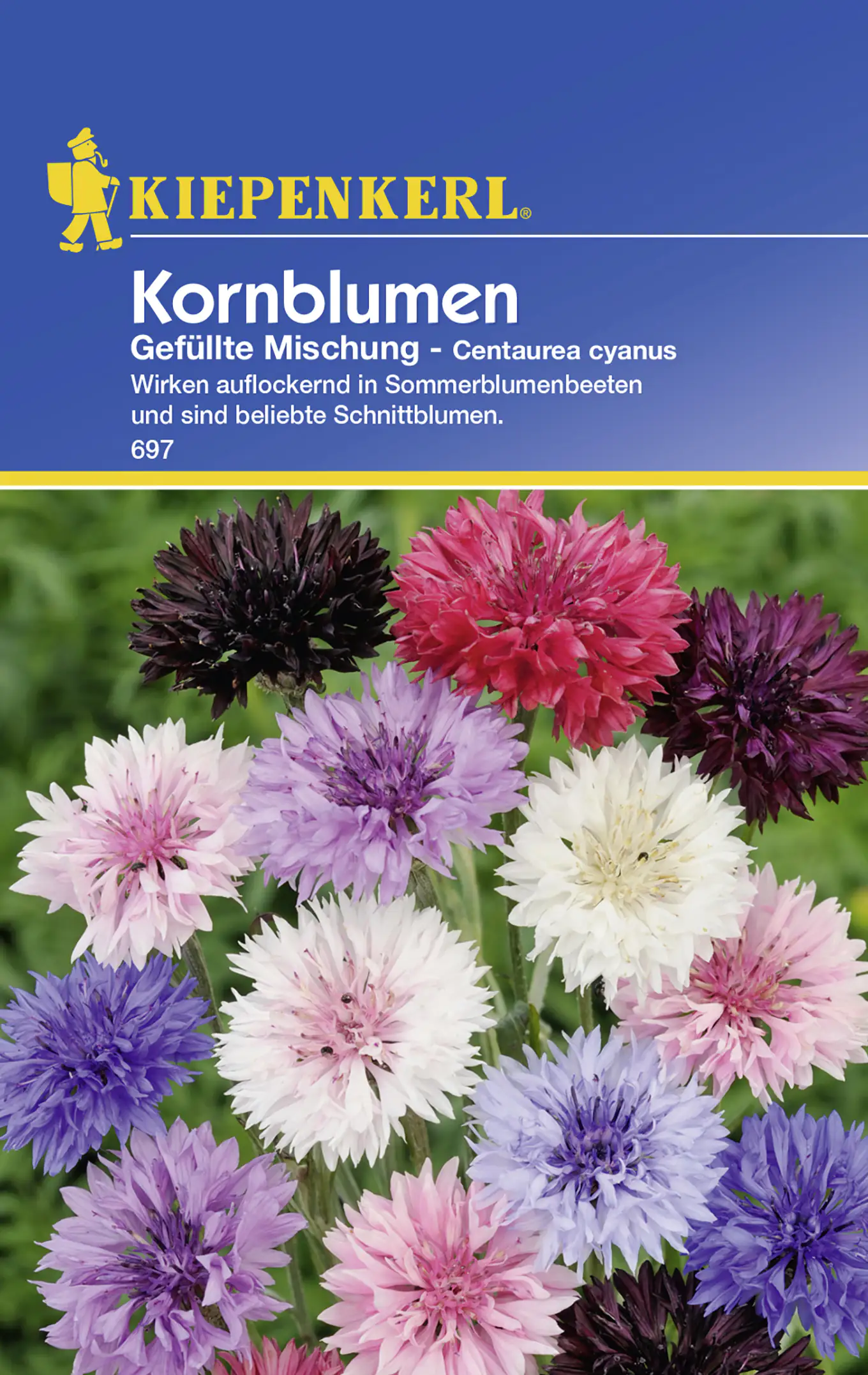 Kiepenkerl Kornblume Gefüllte Mischung Centaurea cyanus, Inhalt: ca. 50 Pflanzen