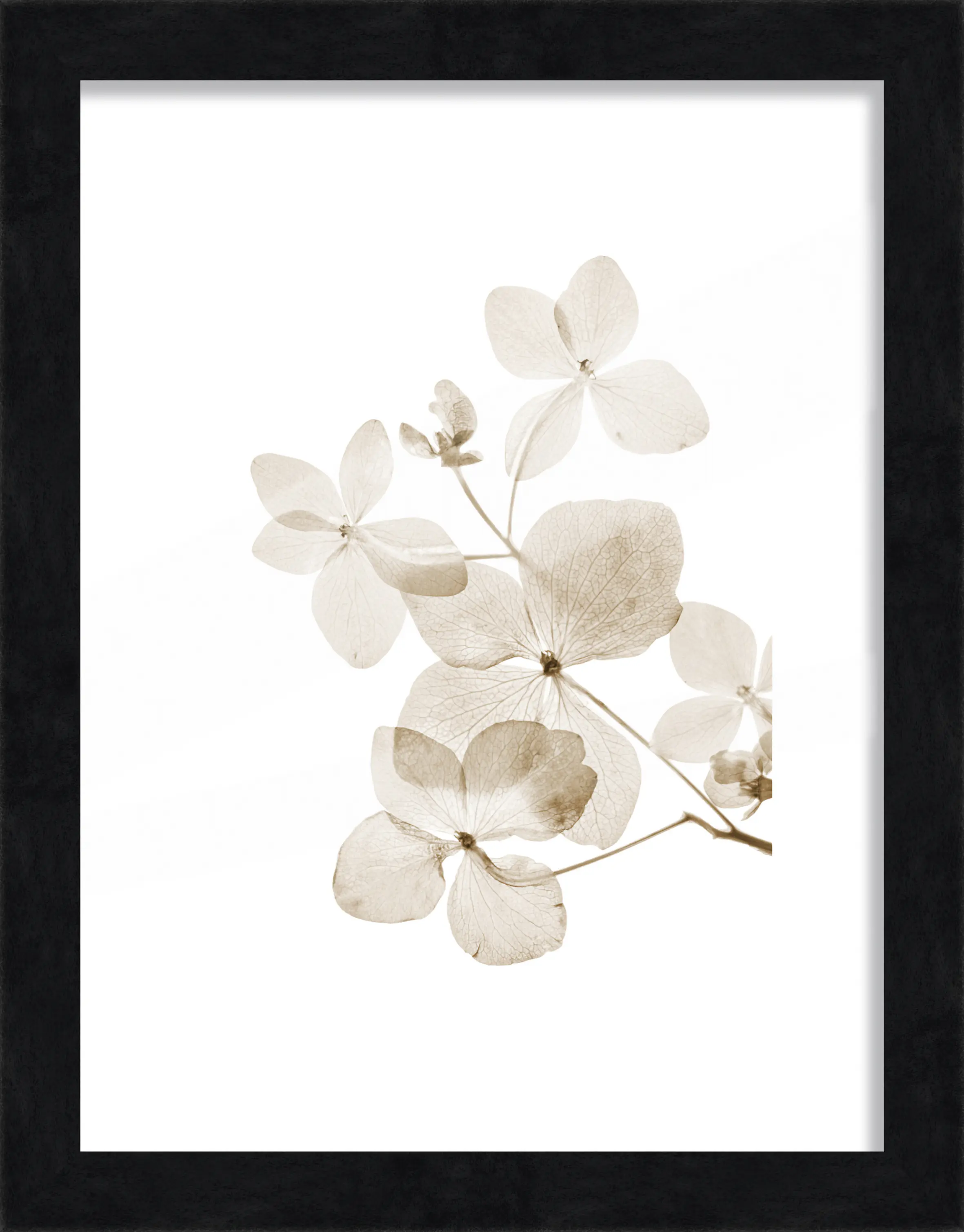 Bilderrahmen Holz Luzern schwarz 18 x 24 cm