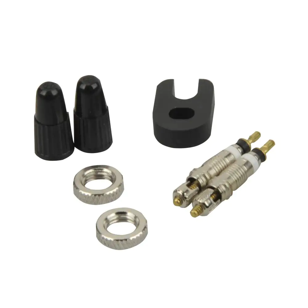 Fischer Fahrrad-Ventileinsätze Sclaverand 2 Stück Fischer Fahrrad-Ventileinsätze Sclaverand 2 Stück