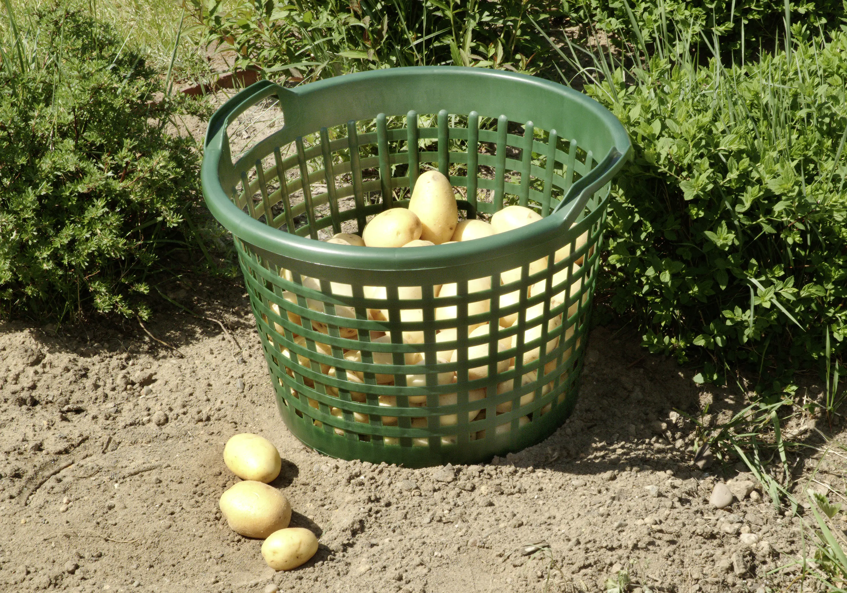 Floraworld Gartenkorb 31 l Floraworld Gartenkorb 31 l