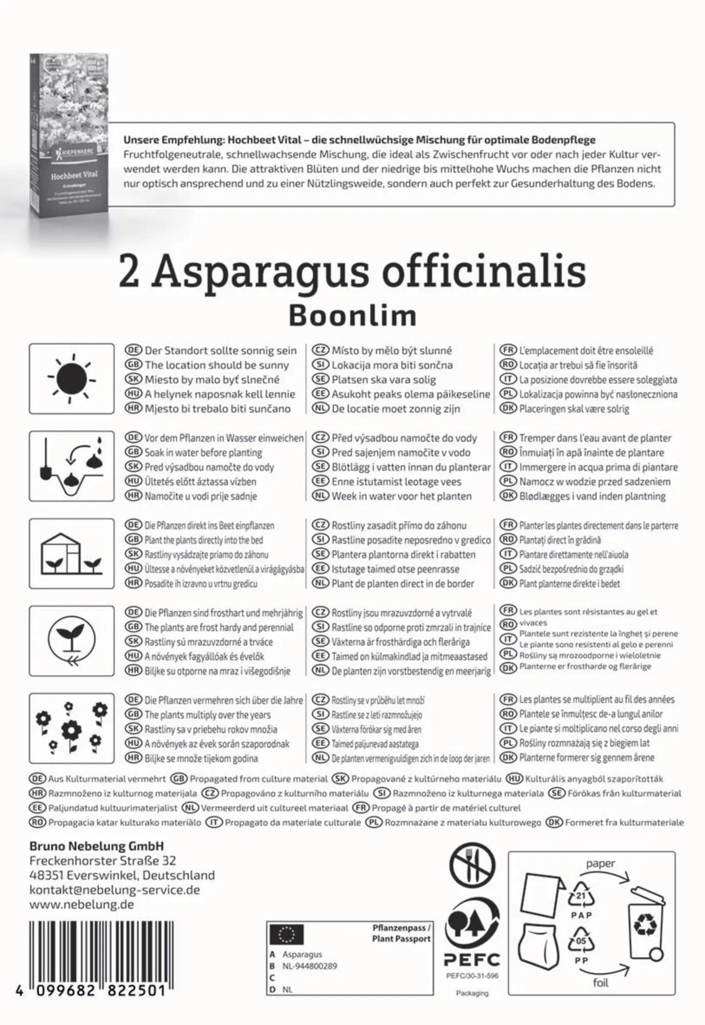 Kiepenkerl Pflanzgut Grünspargel Boonlim Asparagus officinalis 1 Stück