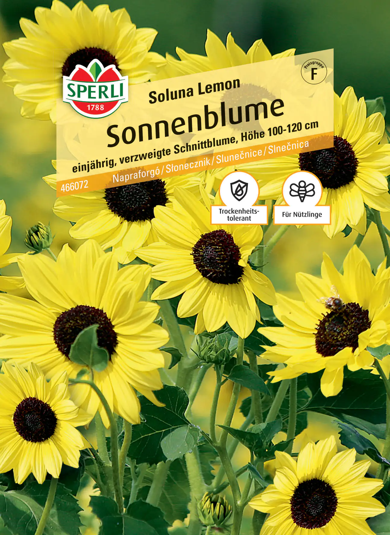 Sperli Sonnenblume Soluna Lemon
