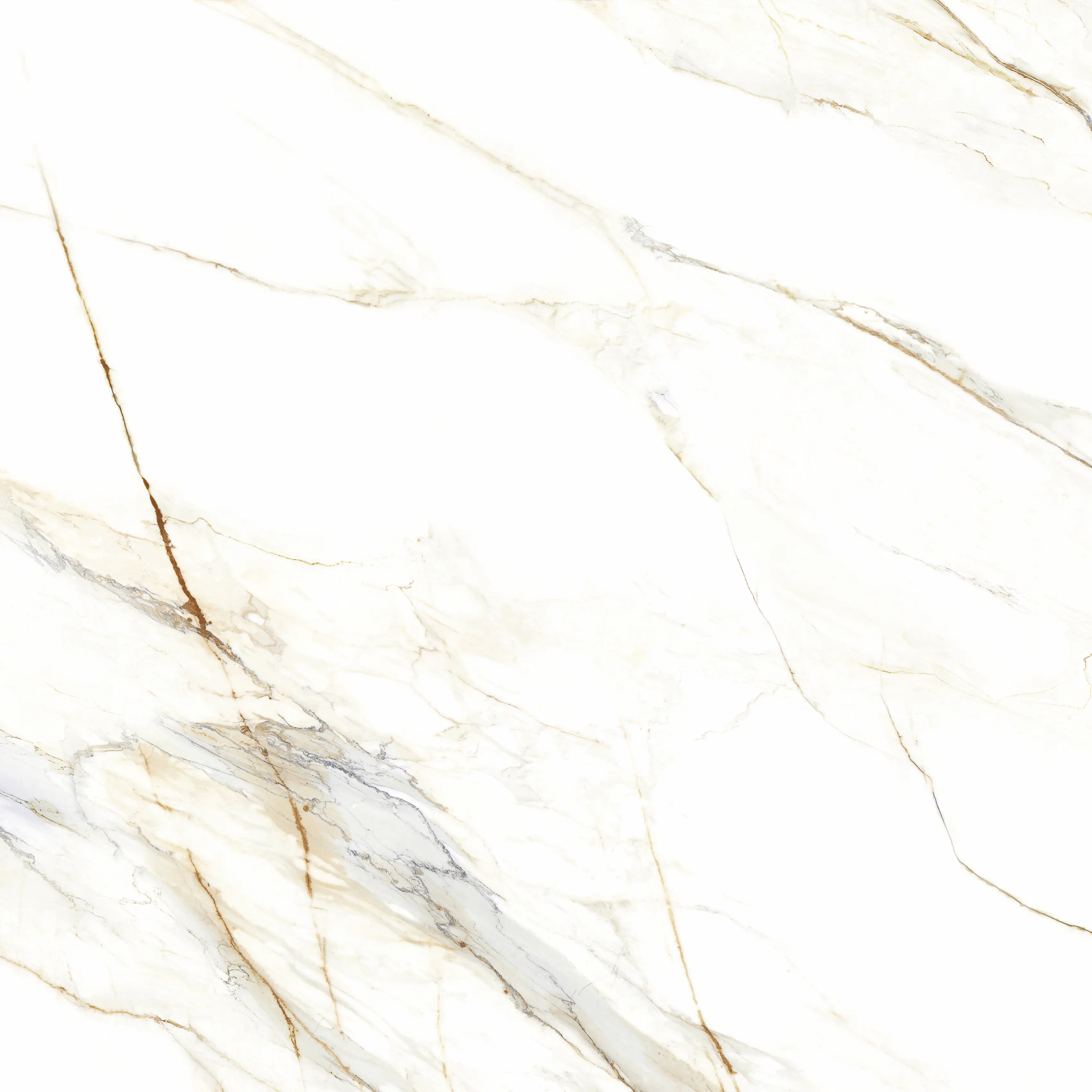Bodenfliese Feinsteinzeug Venetion Gold 120 x 120 cm weiß
