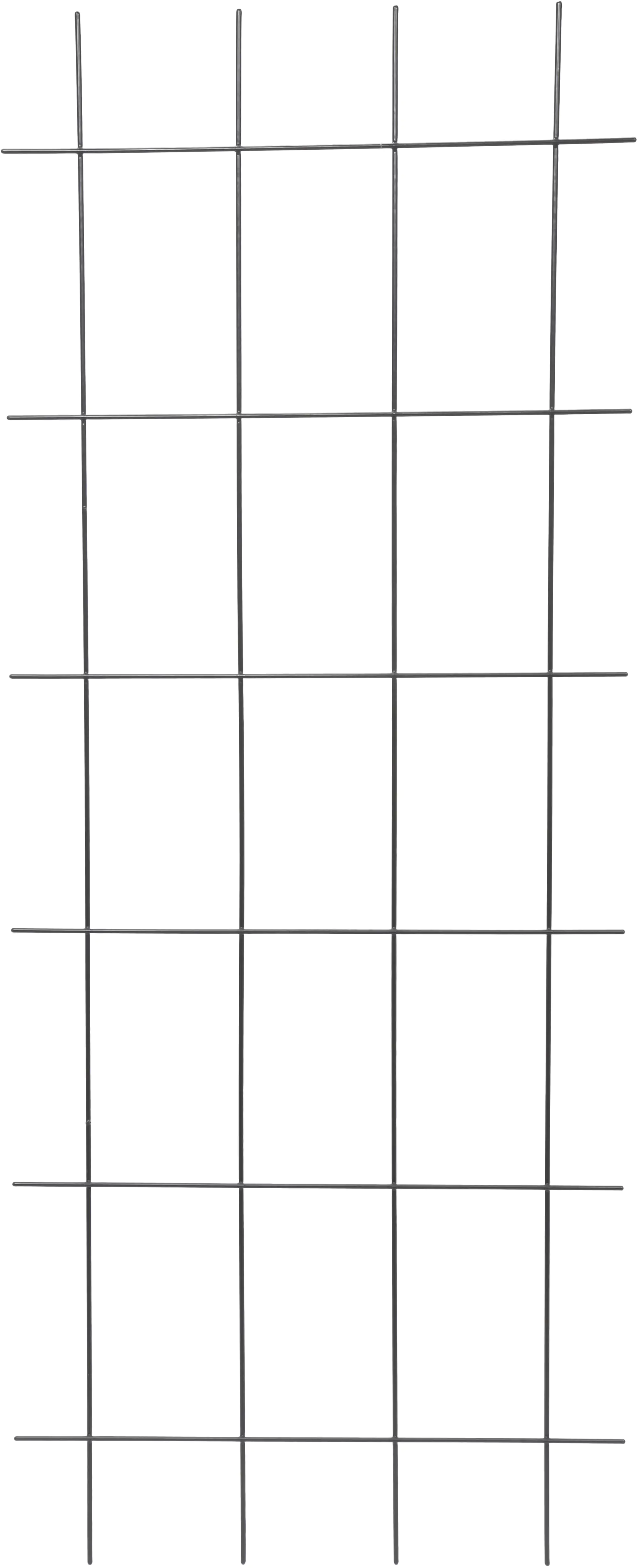 TrendLine Spaliergitter 150x60cm anthrazit 150 x 60 cm