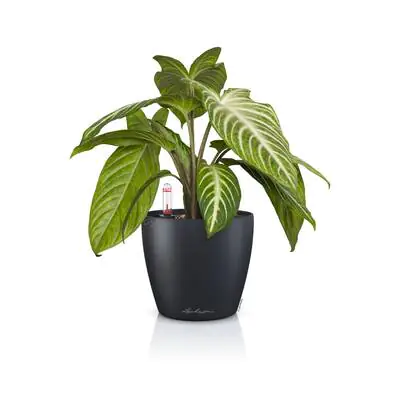 Lechuza Übertopf Kunststoff Classico Color 12 Komplettset Ø 15 x 14 cm schiefergrau