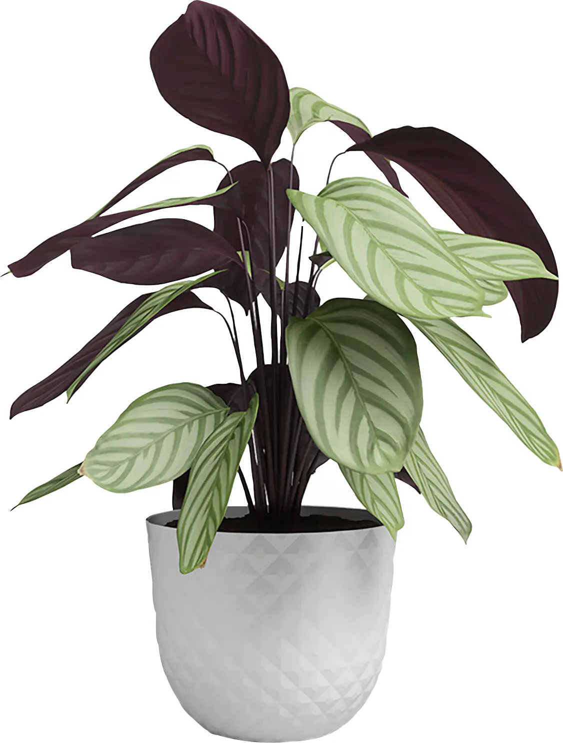 Artevasi Pflanztopf Havana Tropical Kunststoff granit weiß matt Ø 20 x 16 cm