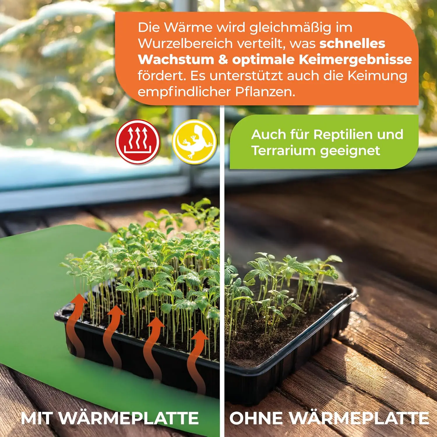 Biogreen Wärmeplatte als Anzuchtbooster für Pflanzen 30 x 60 cm