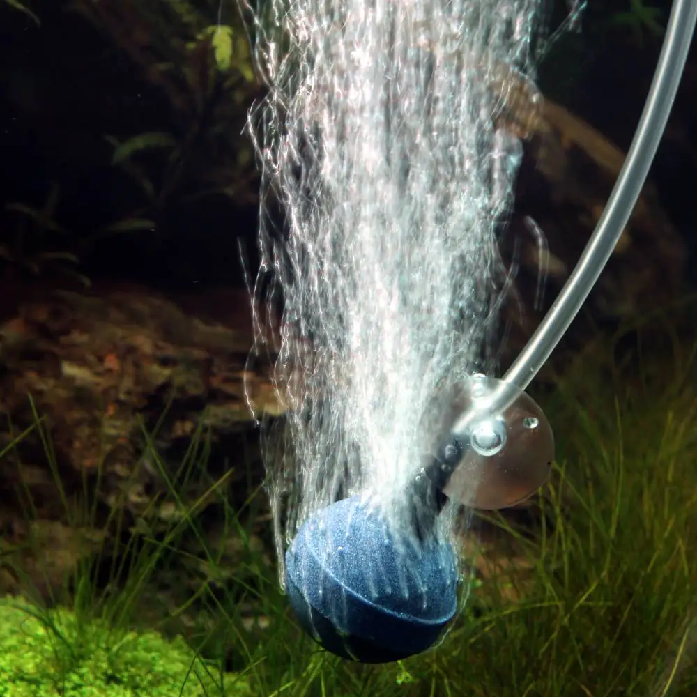 JBL Aeras Micro Ball L Ausströmerstein für feine Luftblasen