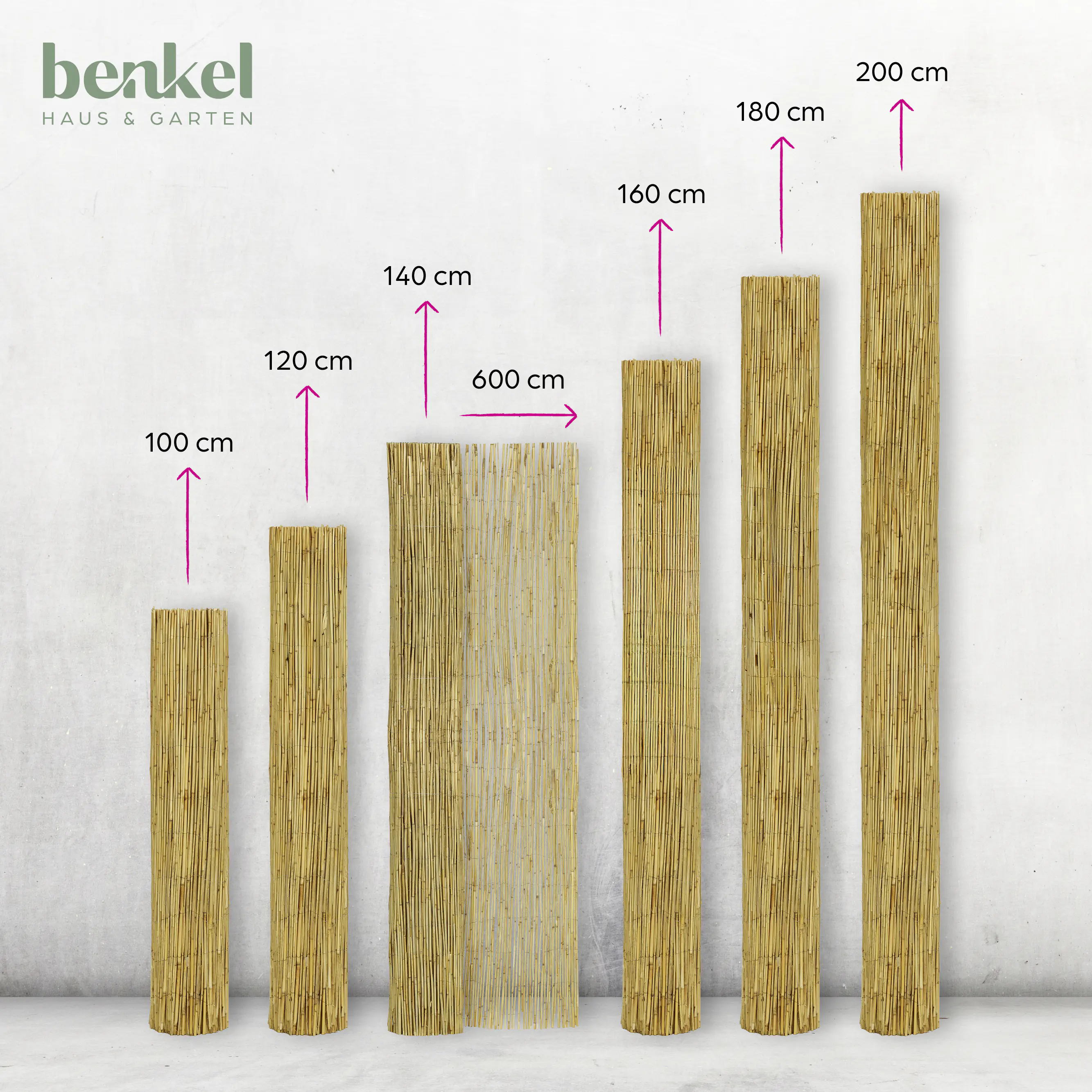 Schilfrohrmatte 6 x 1,4 m Schilfrohrmatte 6 x 1,4 m